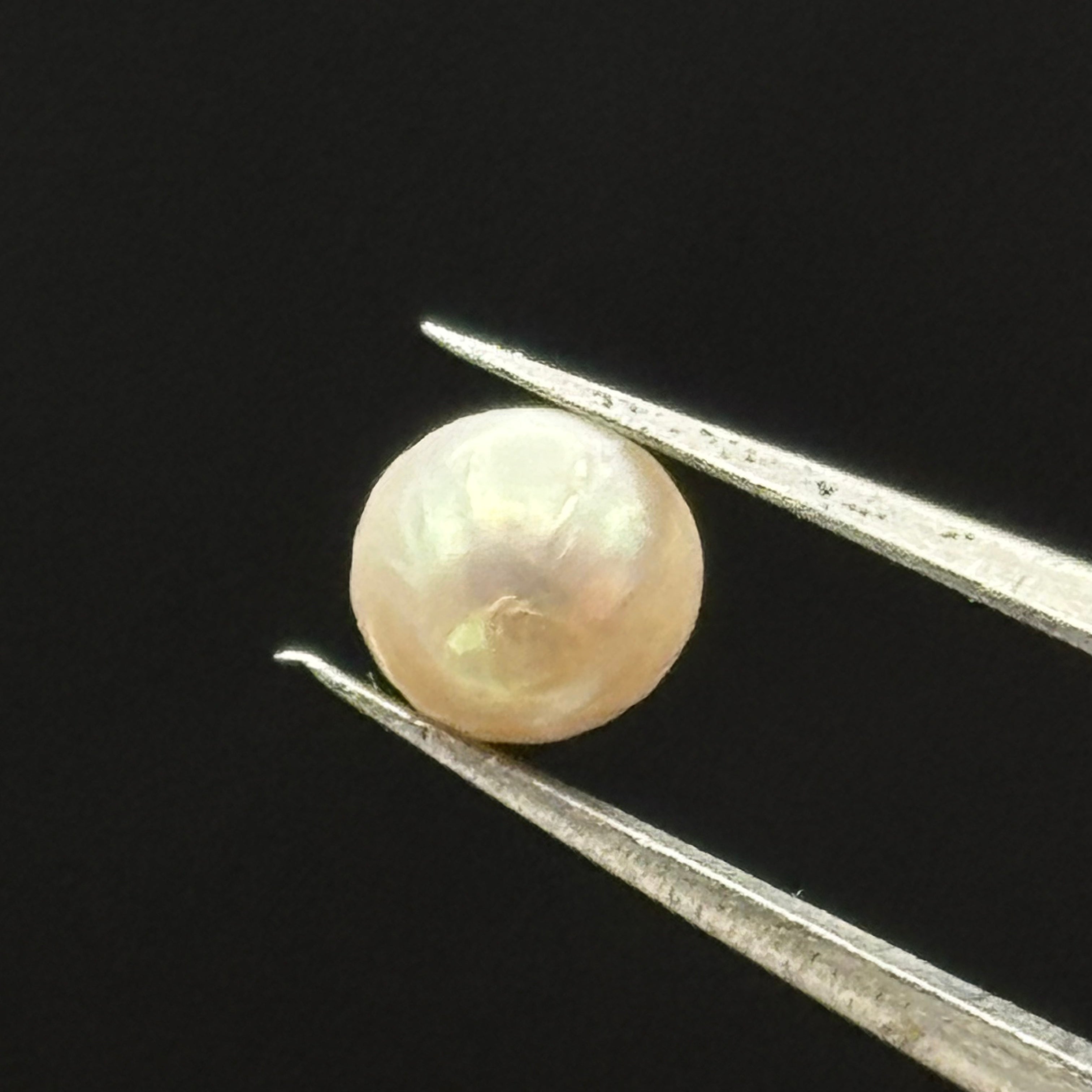 Wild Freshwater Pearl - 002