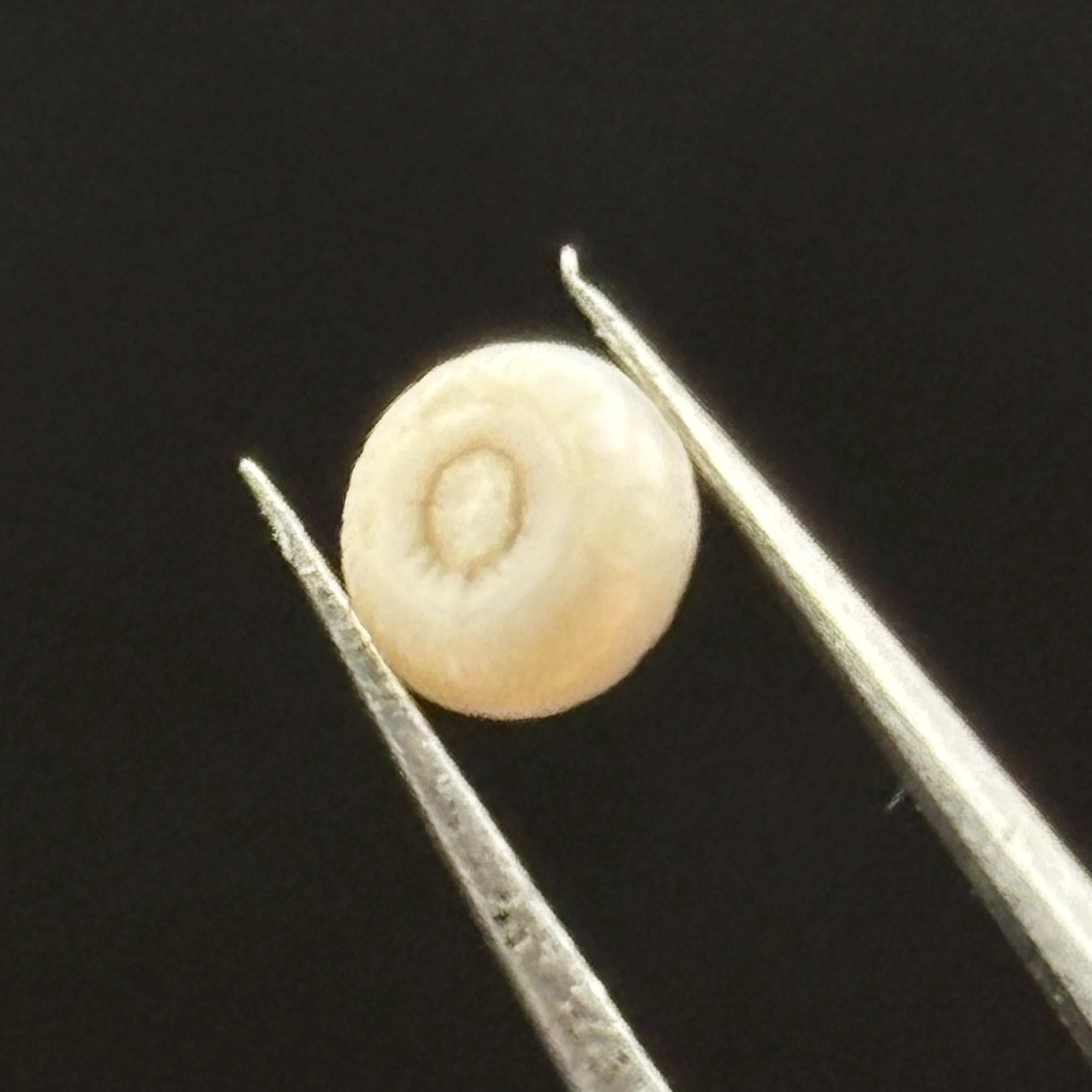 Wild Freshwater Pearl - 002