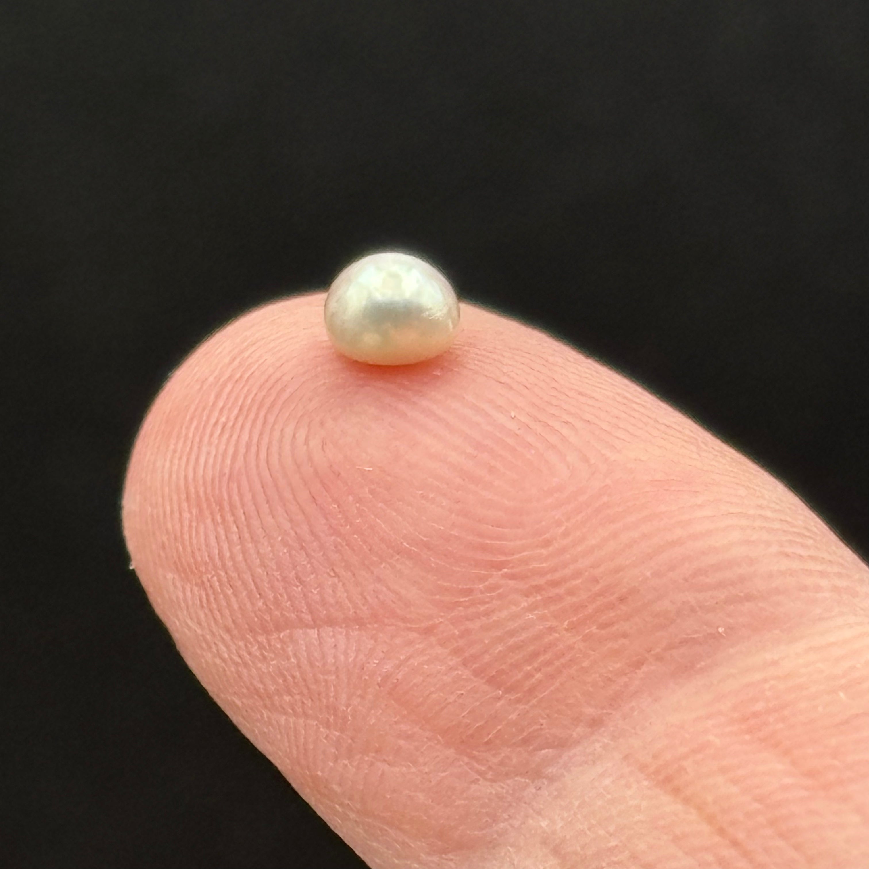 Wild Freshwater Pearl - 002