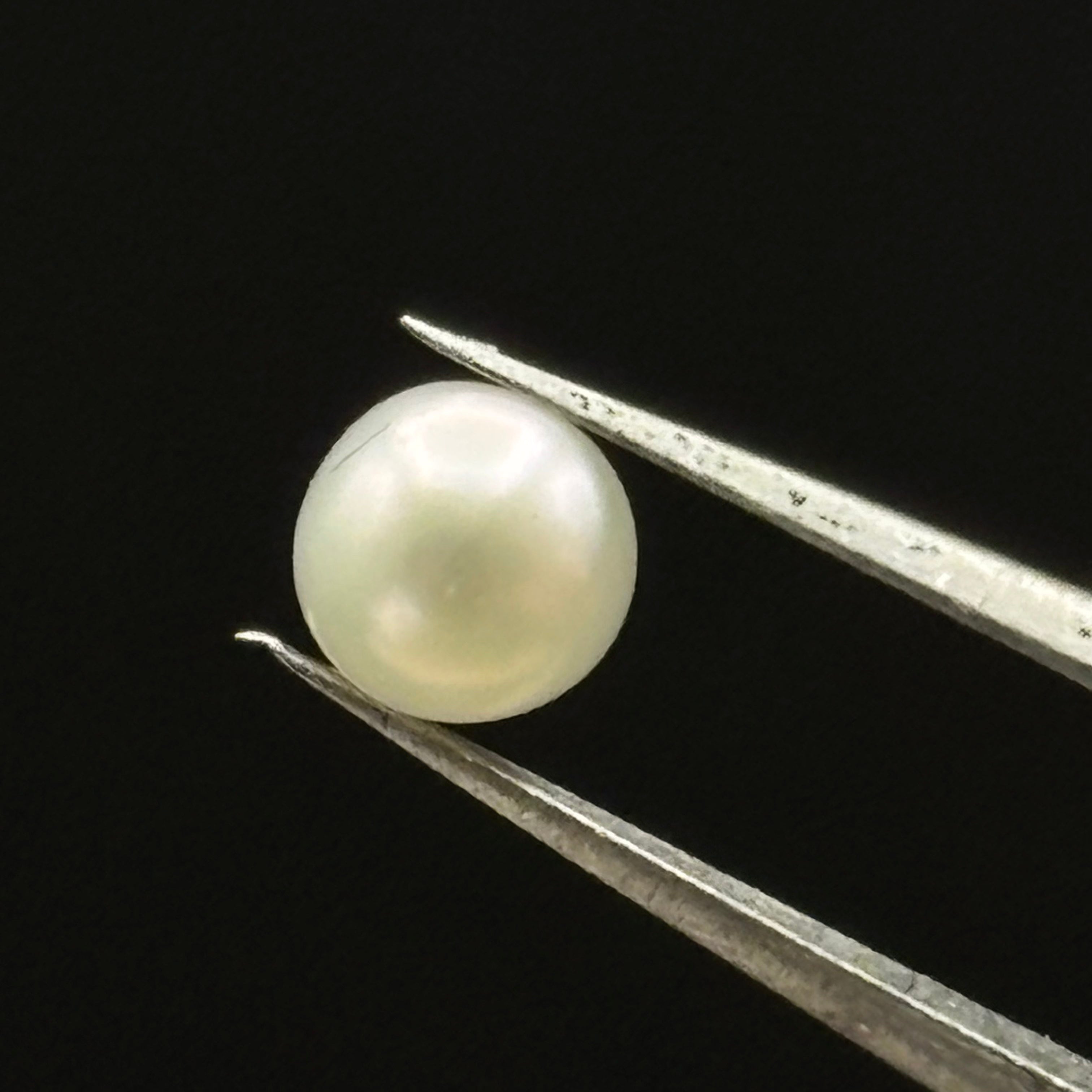 Wild Freshwater Pearl - 004