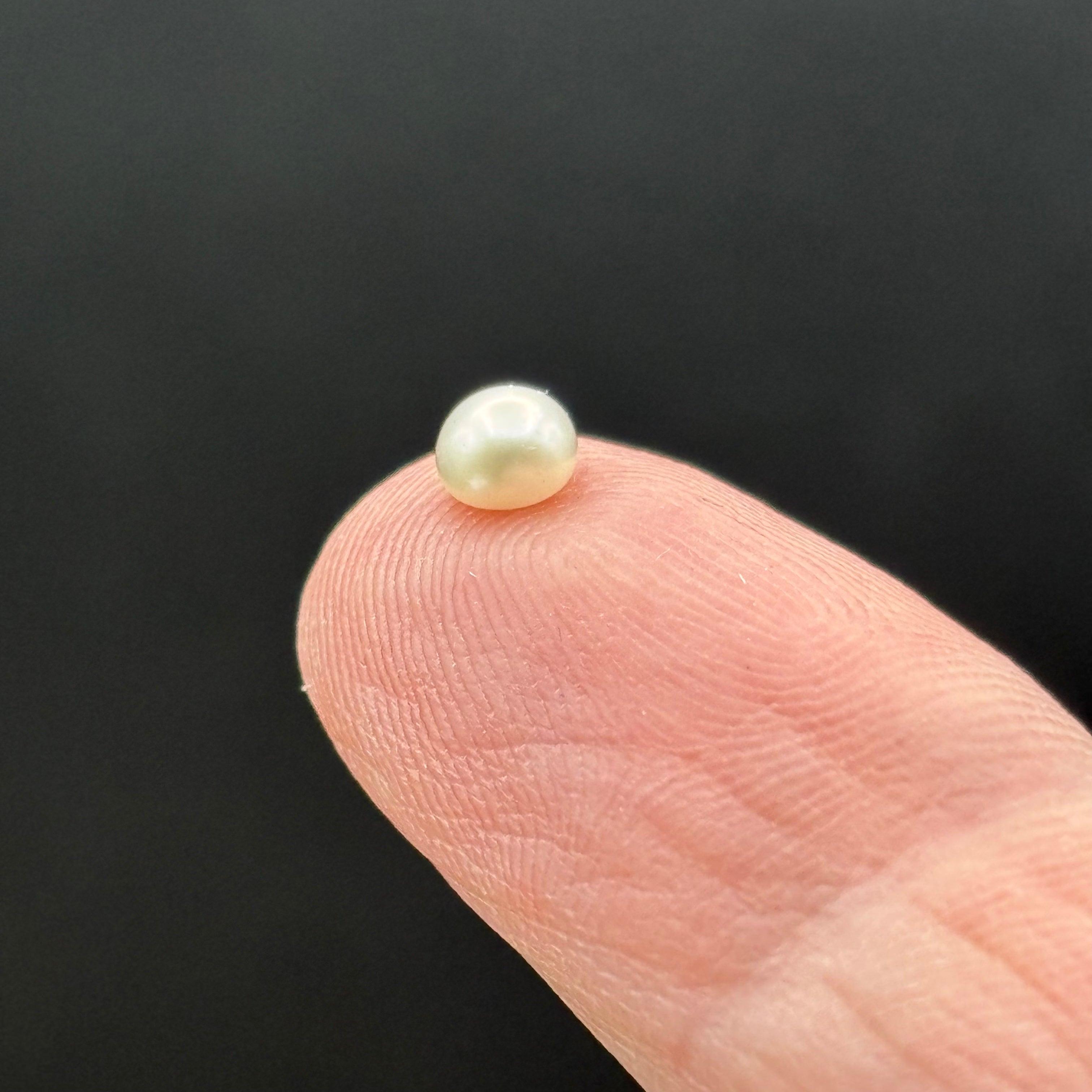 Wild Freshwater Pearl - 004