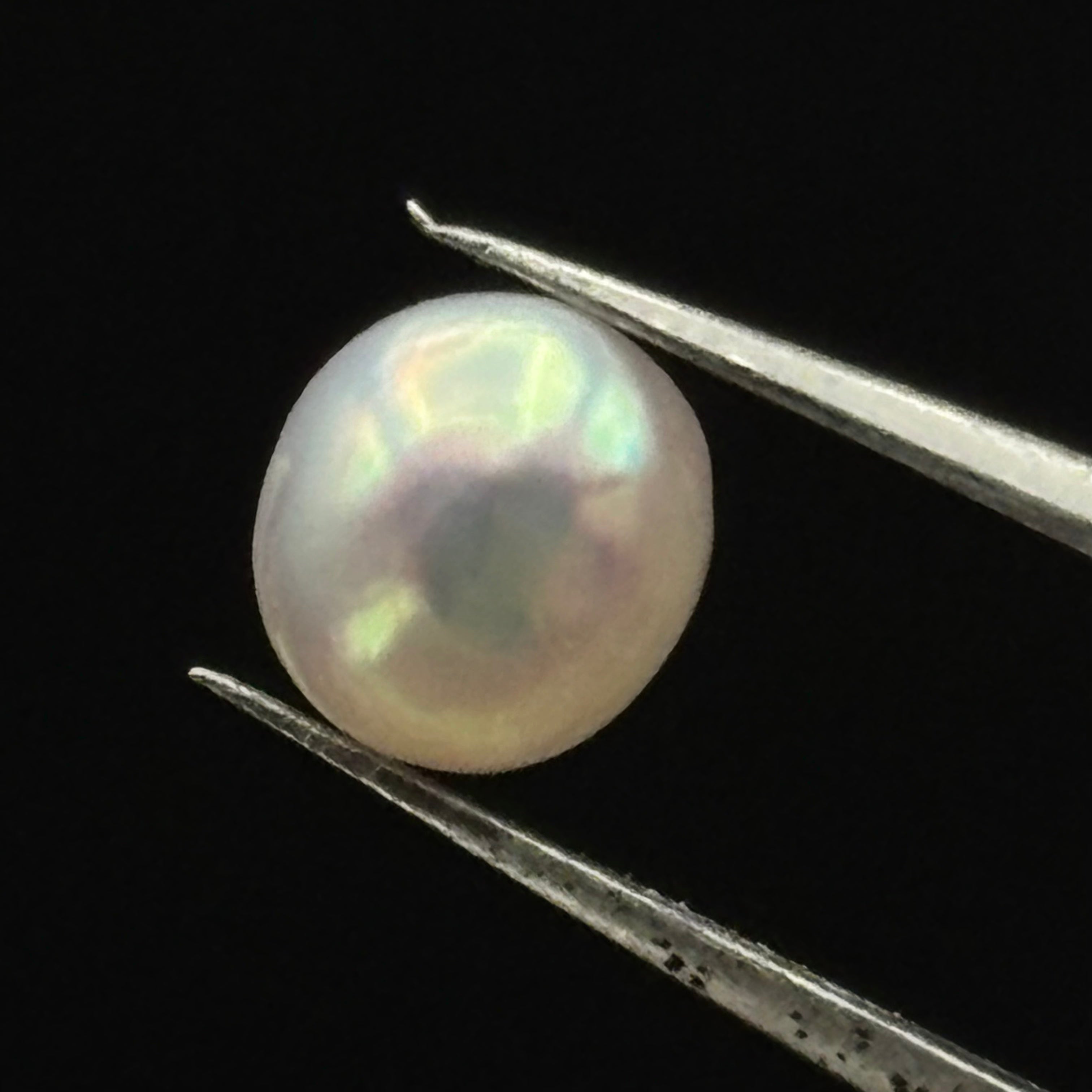 Wild Freshwater Pearl - 006