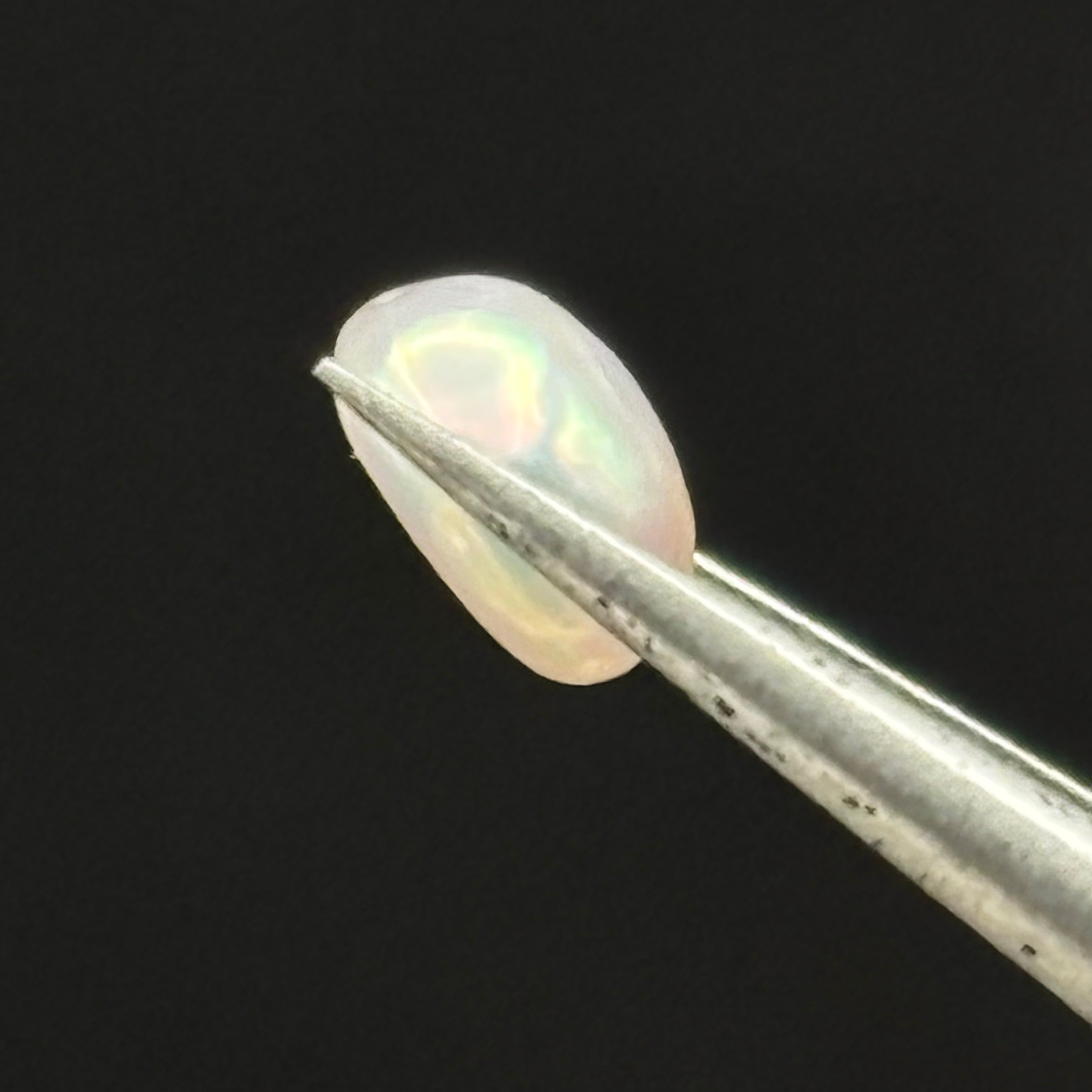 Wild Freshwater Pearl - 006