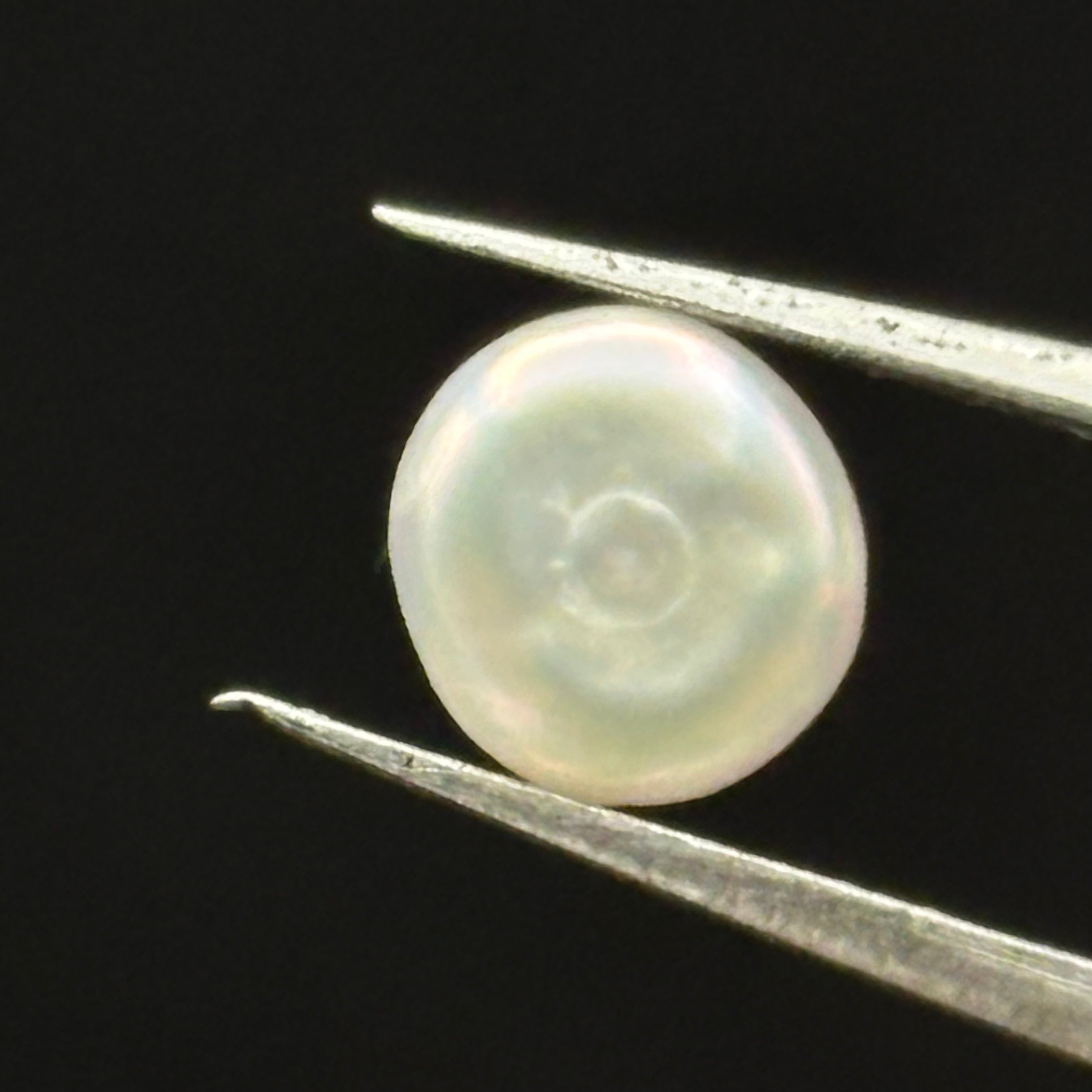 Wild Freshwater Pearl - 006