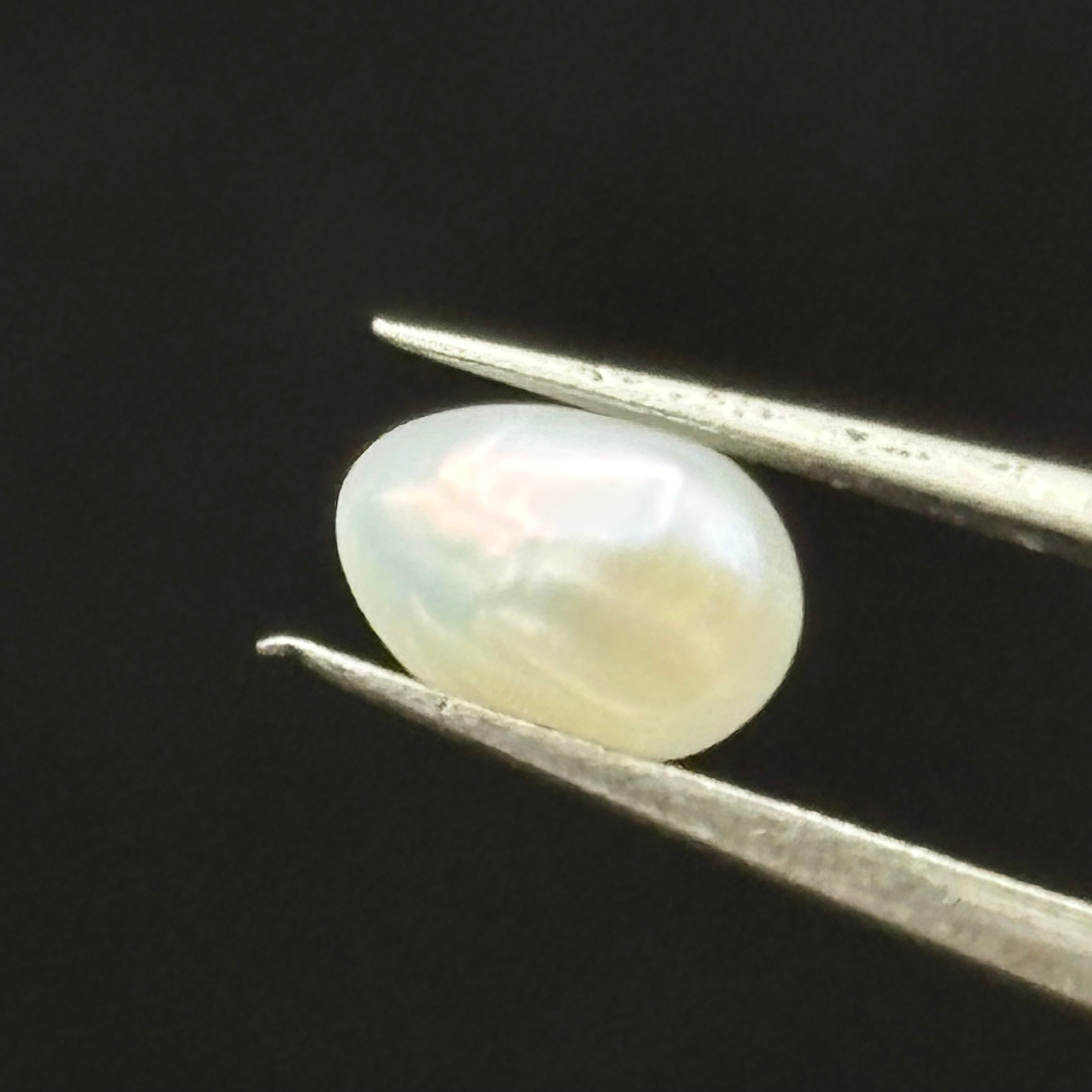Wild Freshwater Pearl - 008