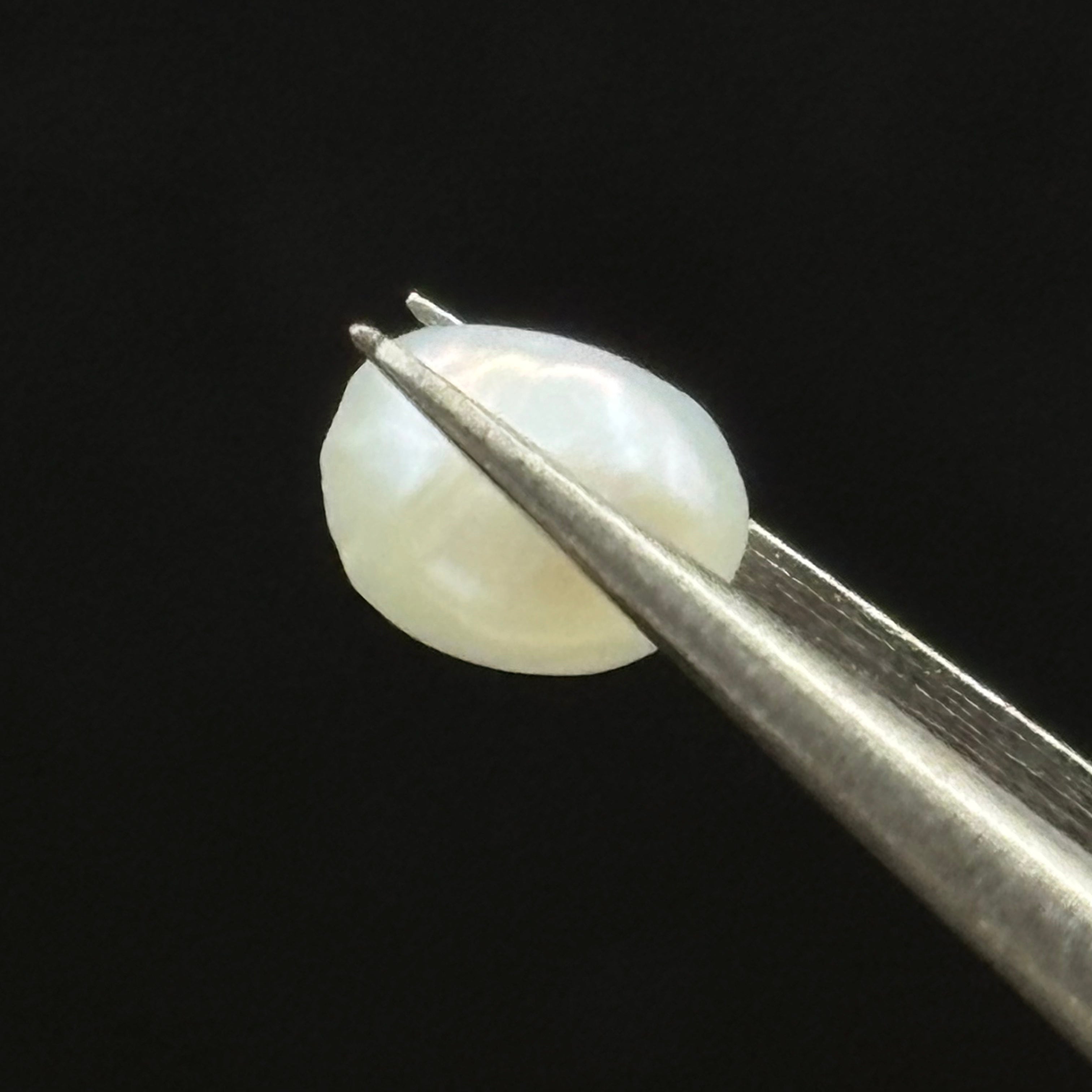Wild Freshwater Pearl - 008