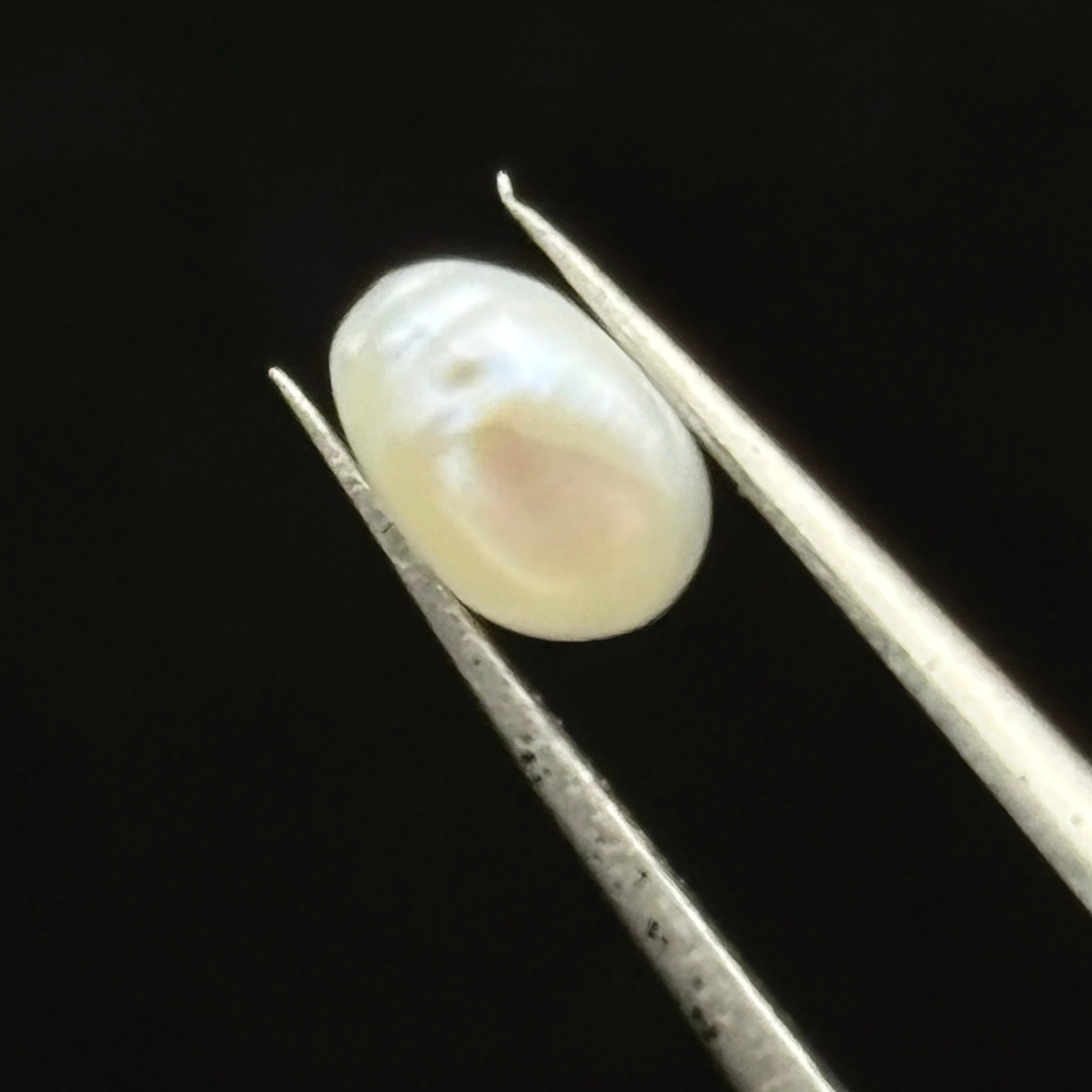 Wild Freshwater Pearl - 008
