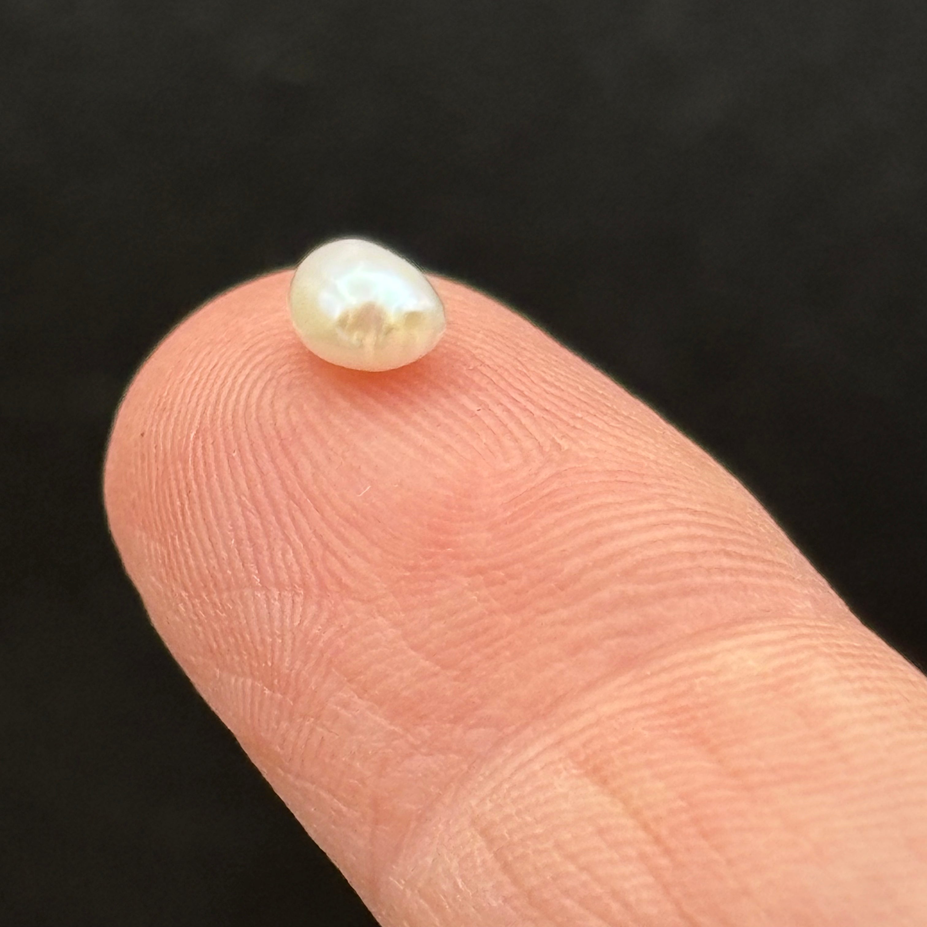 Wild Freshwater Pearl - 008