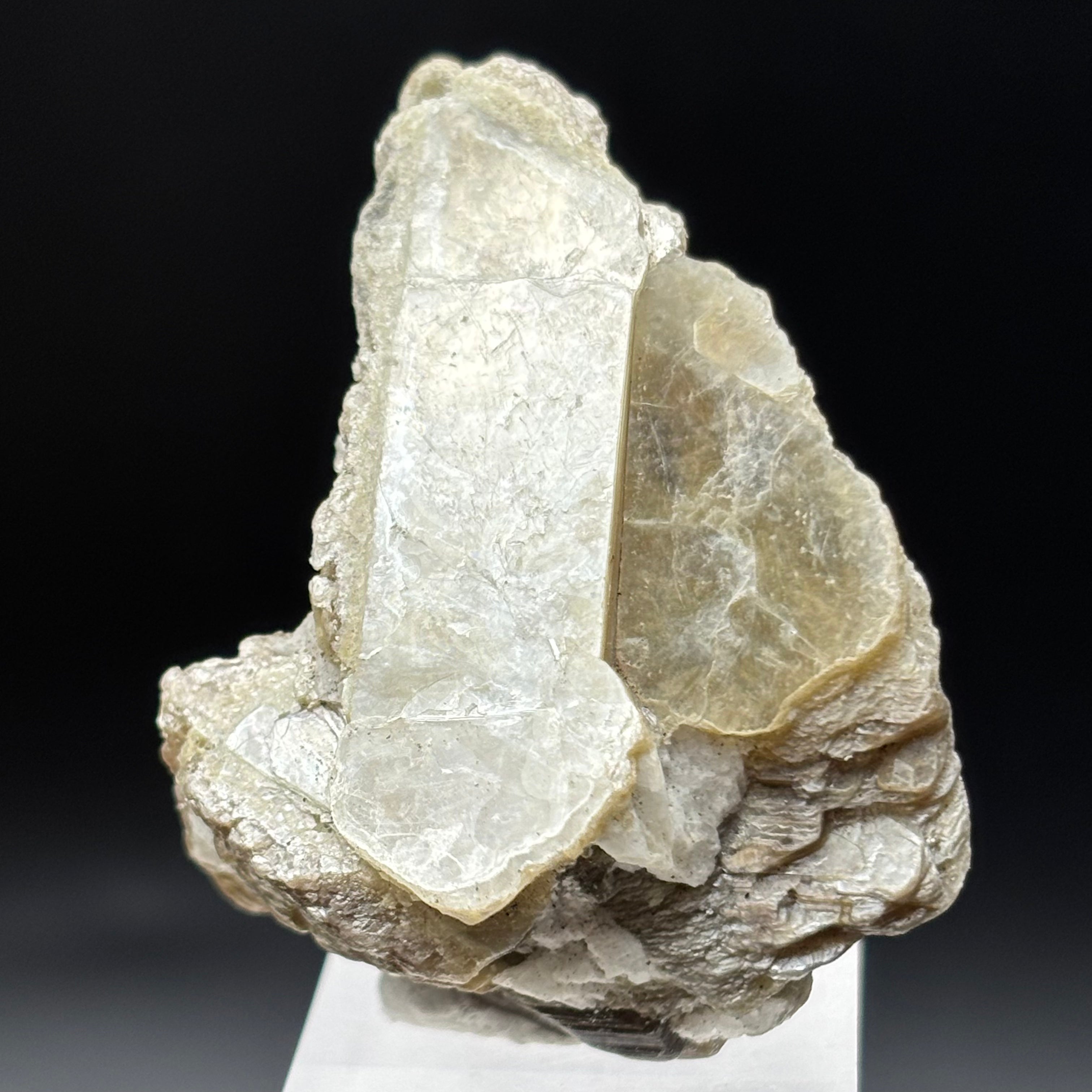 Green Gold Mica - 065