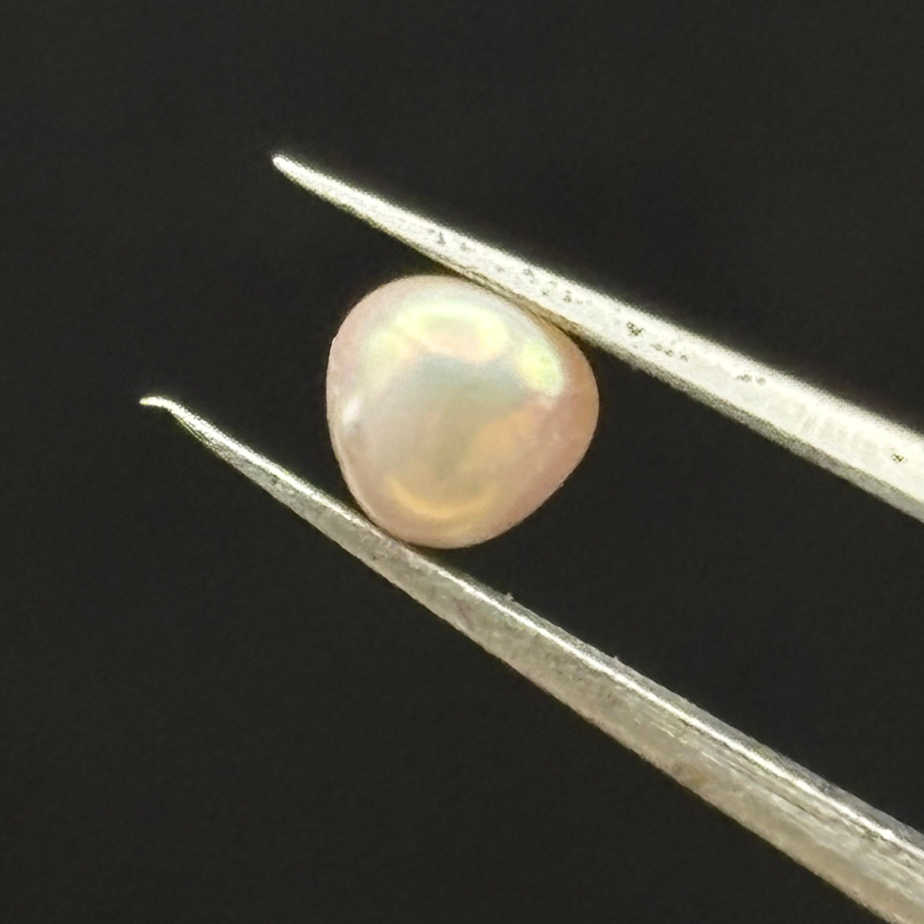 Wild Freshwater Pearl - 010