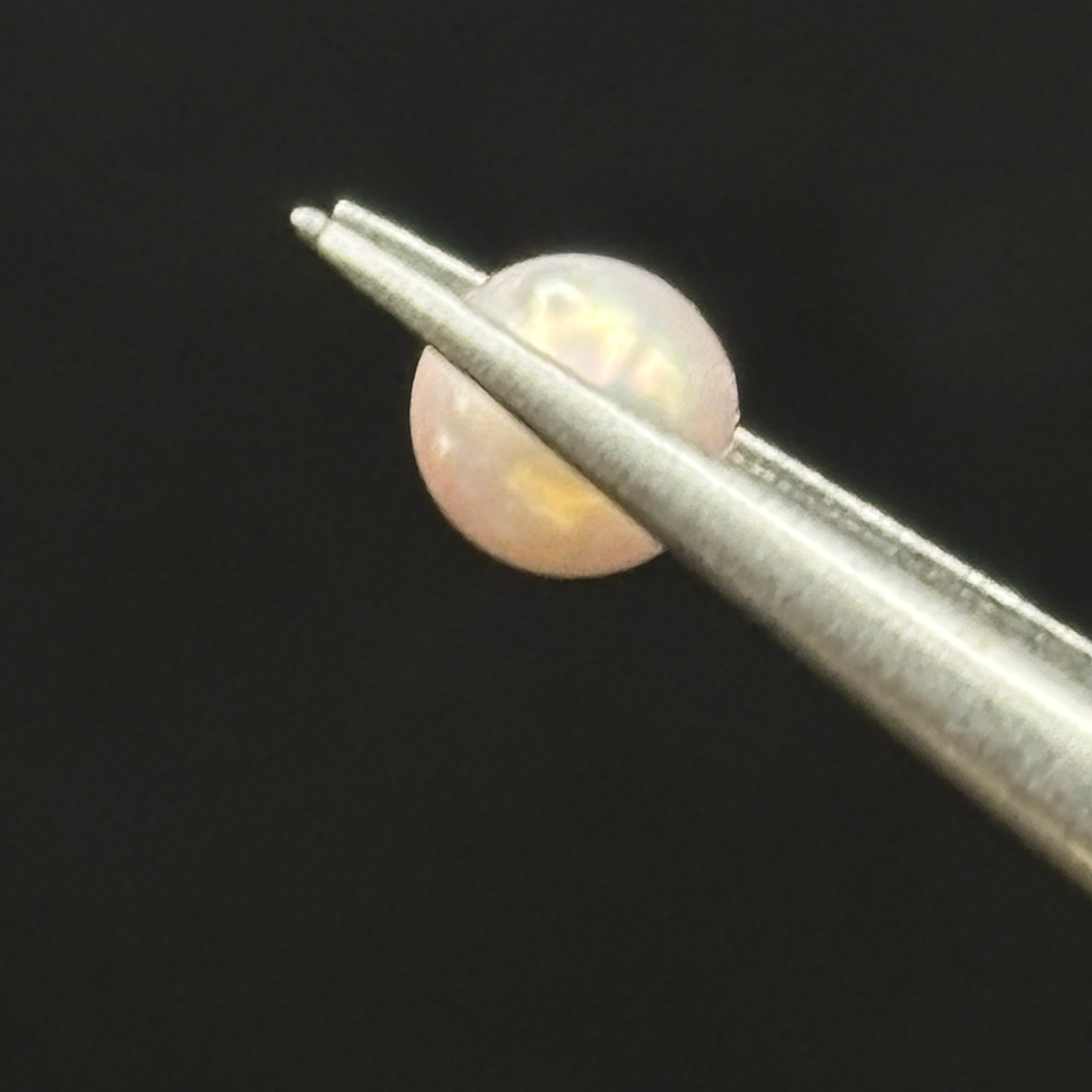 Wild Freshwater Pearl - 010