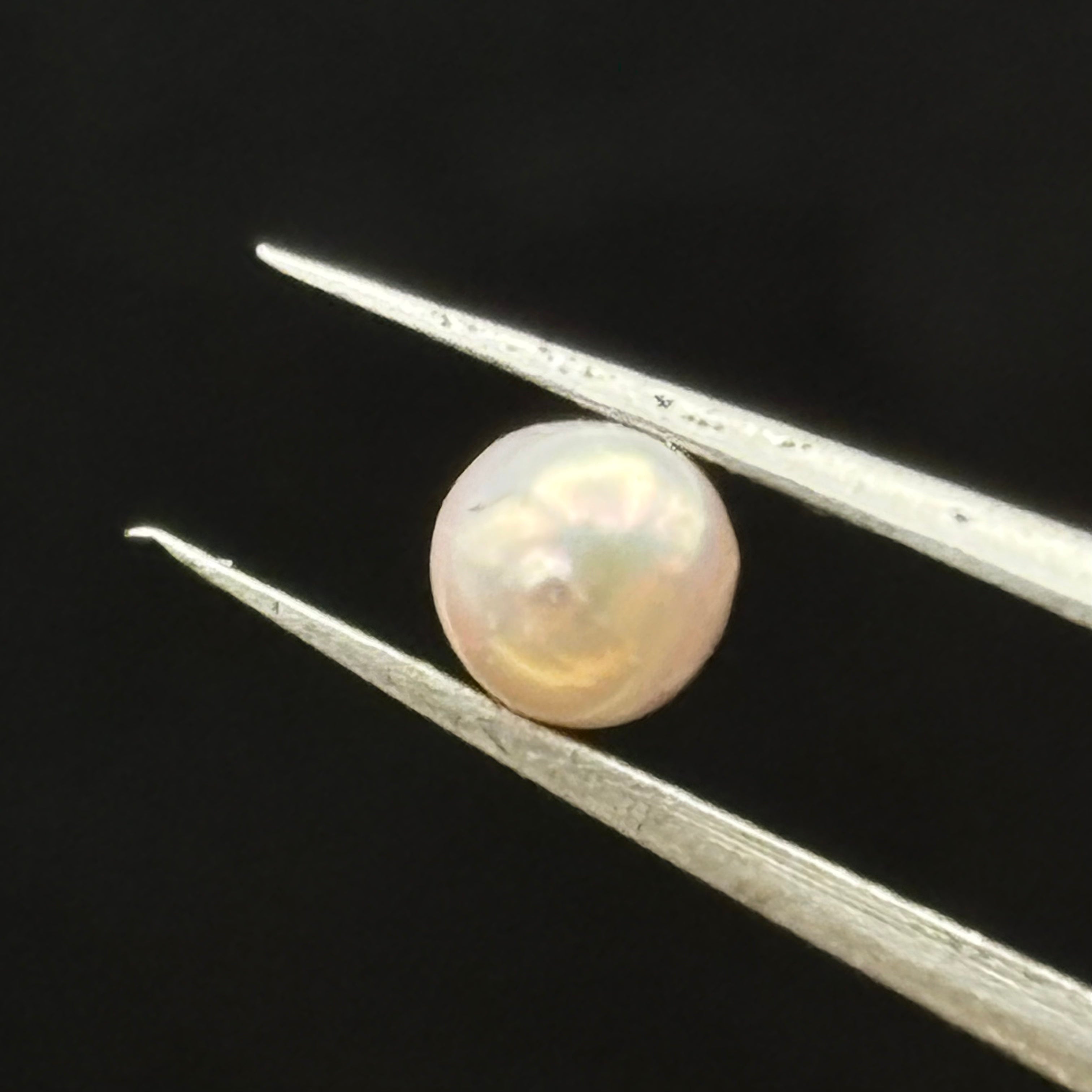 Wild Freshwater Pearl - 010