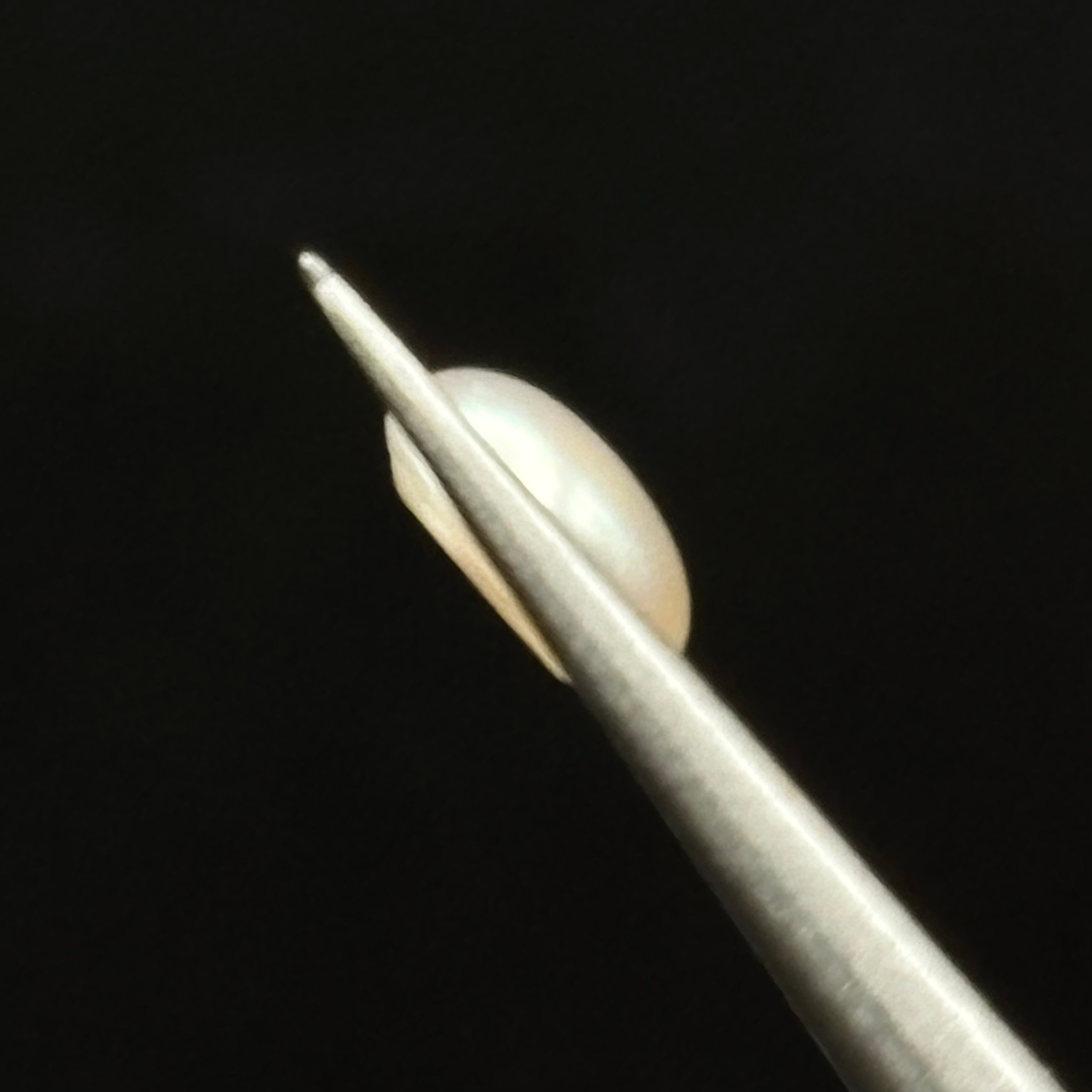 Wild Freshwater Pearl - 011