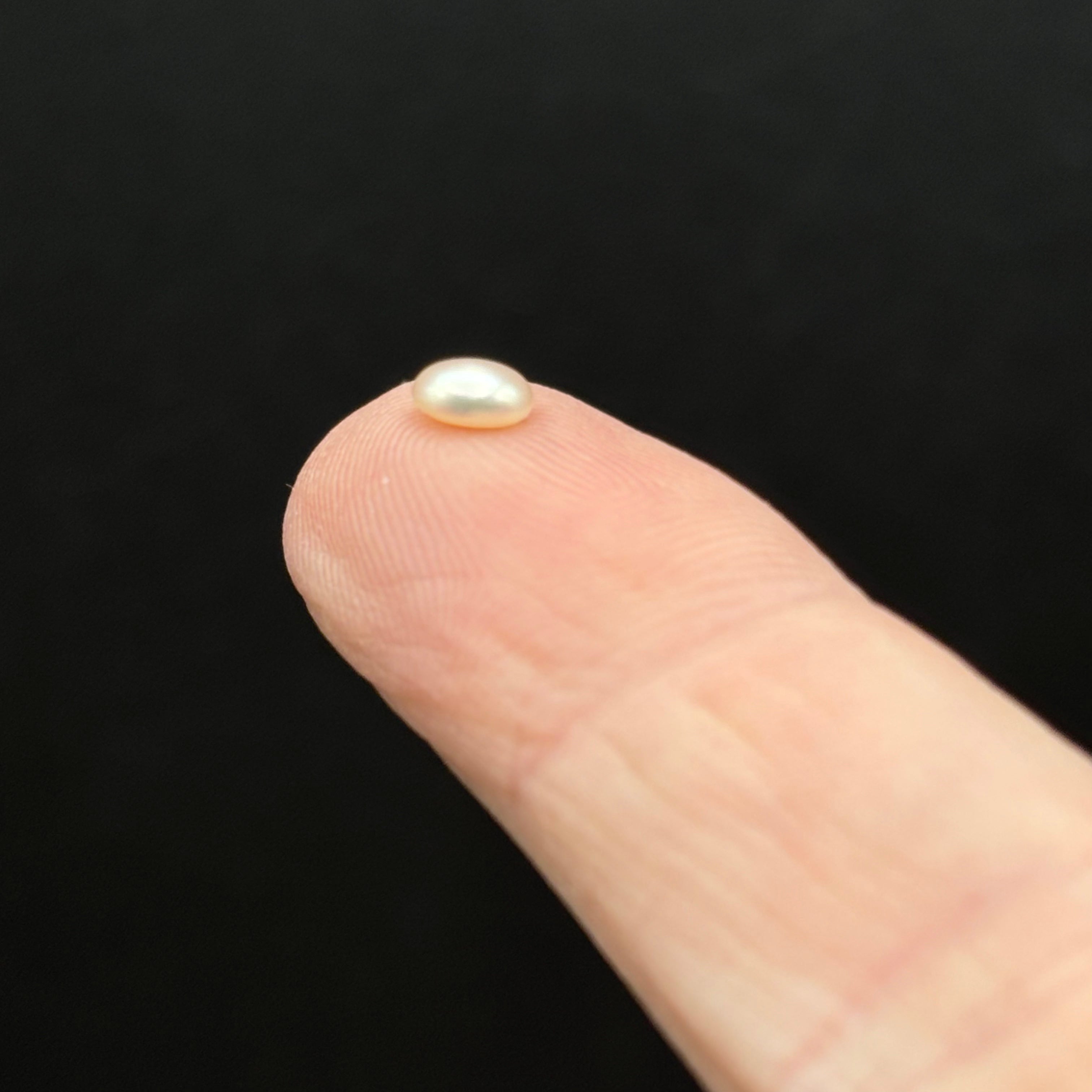 Wild Freshwater Pearl - 011