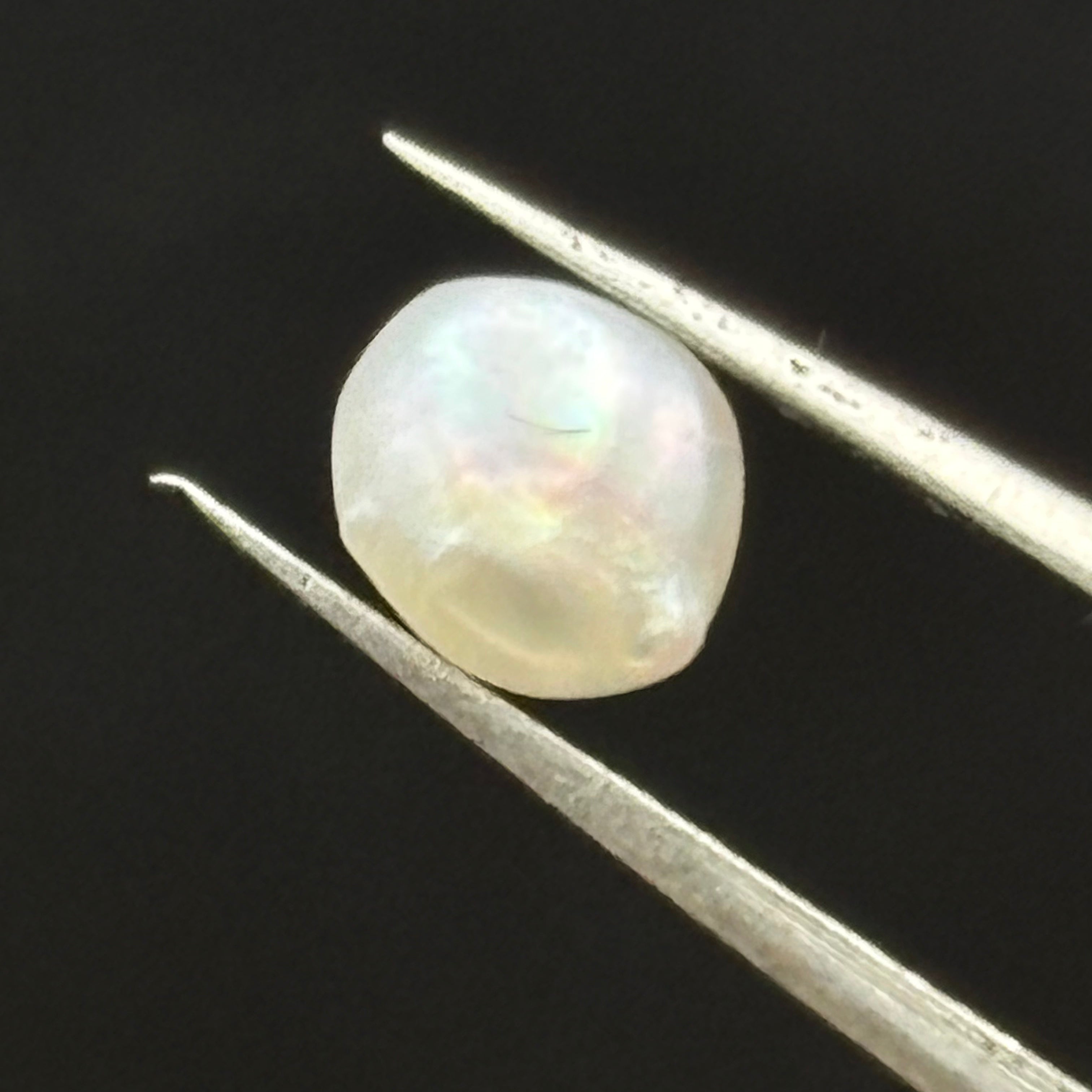 Wild Freshwater Pearl - 013