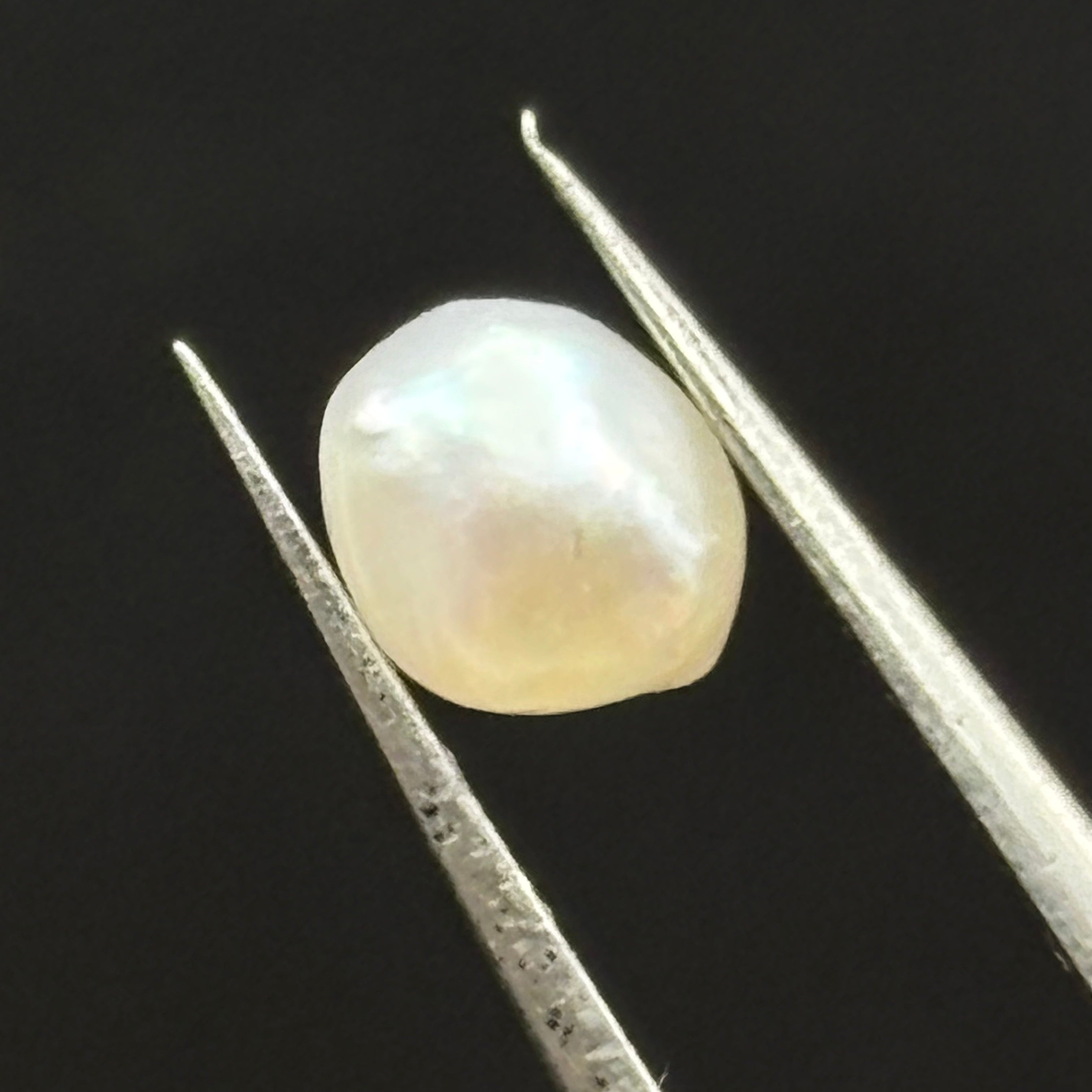 Wild Freshwater Pearl - 013