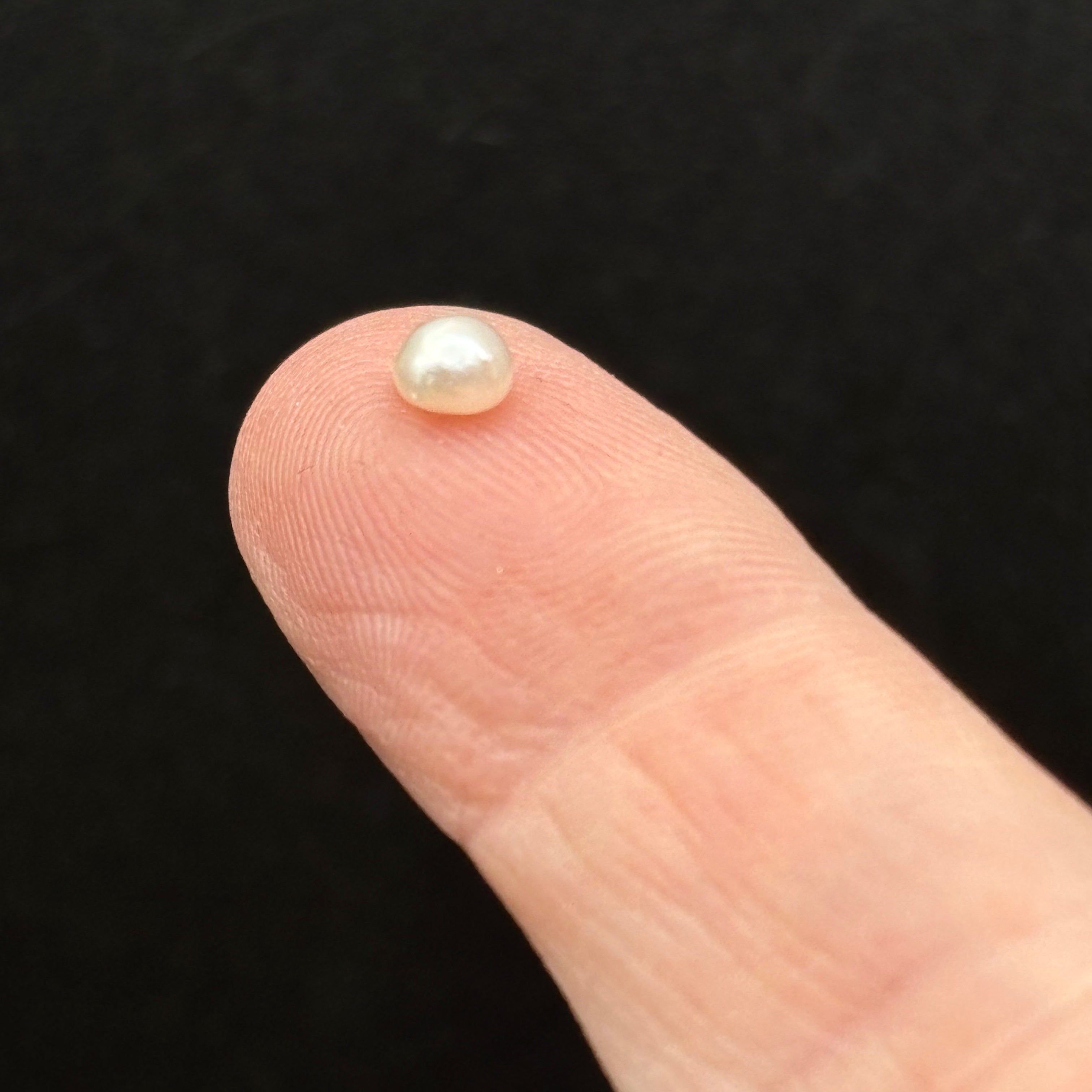 Wild Freshwater Pearl - 013