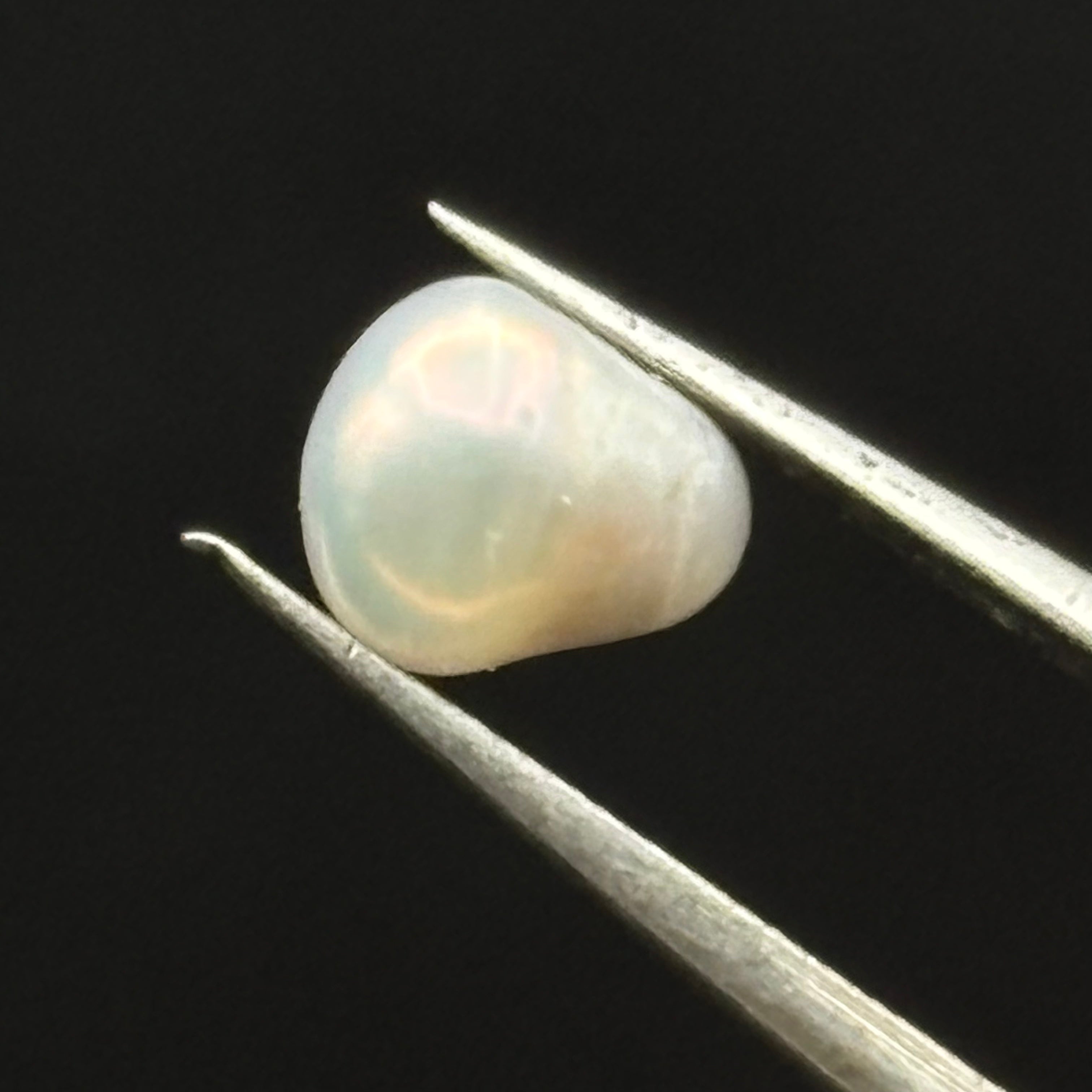 Wild Freshwater Pearl - 014