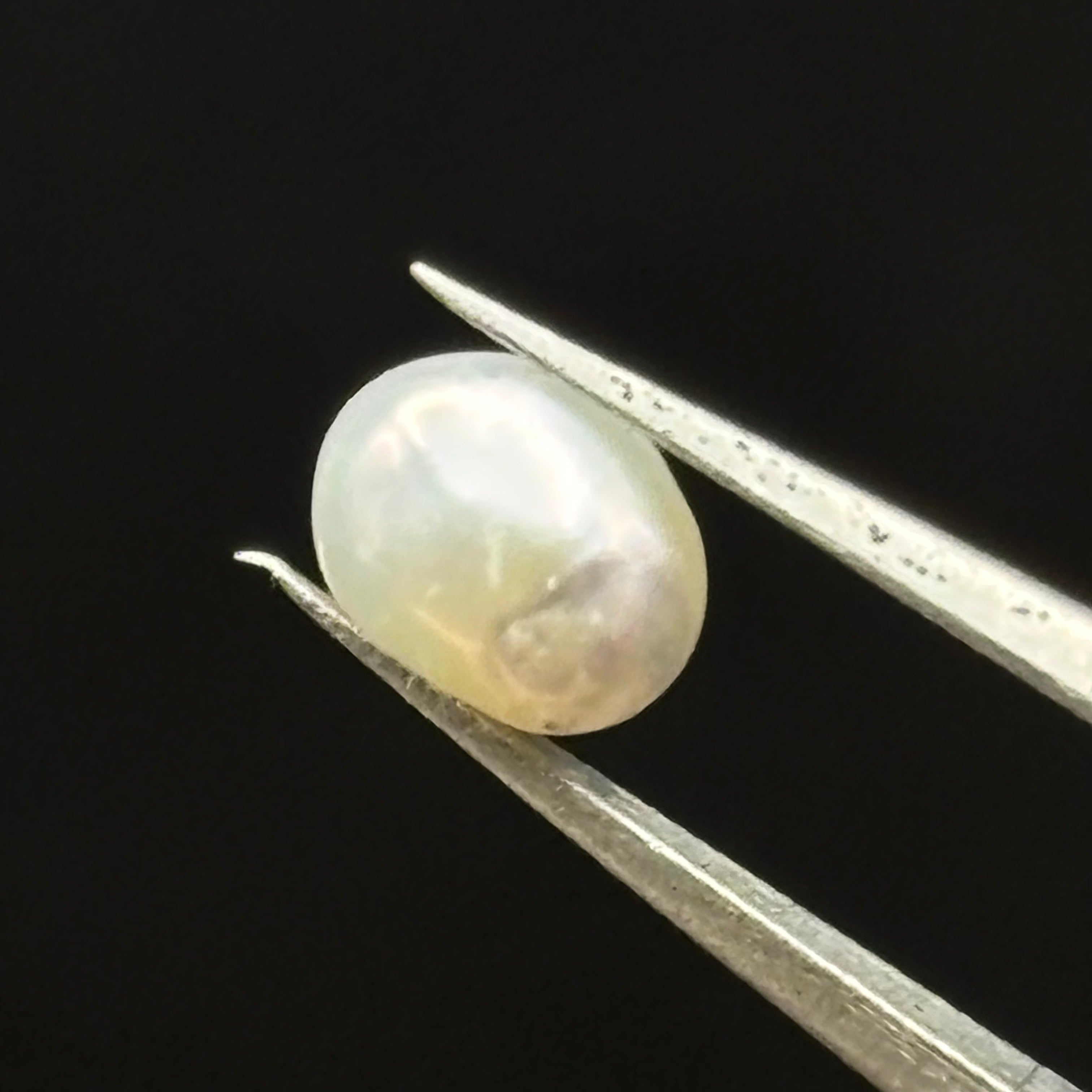 Wild Freshwater Pearl - 016