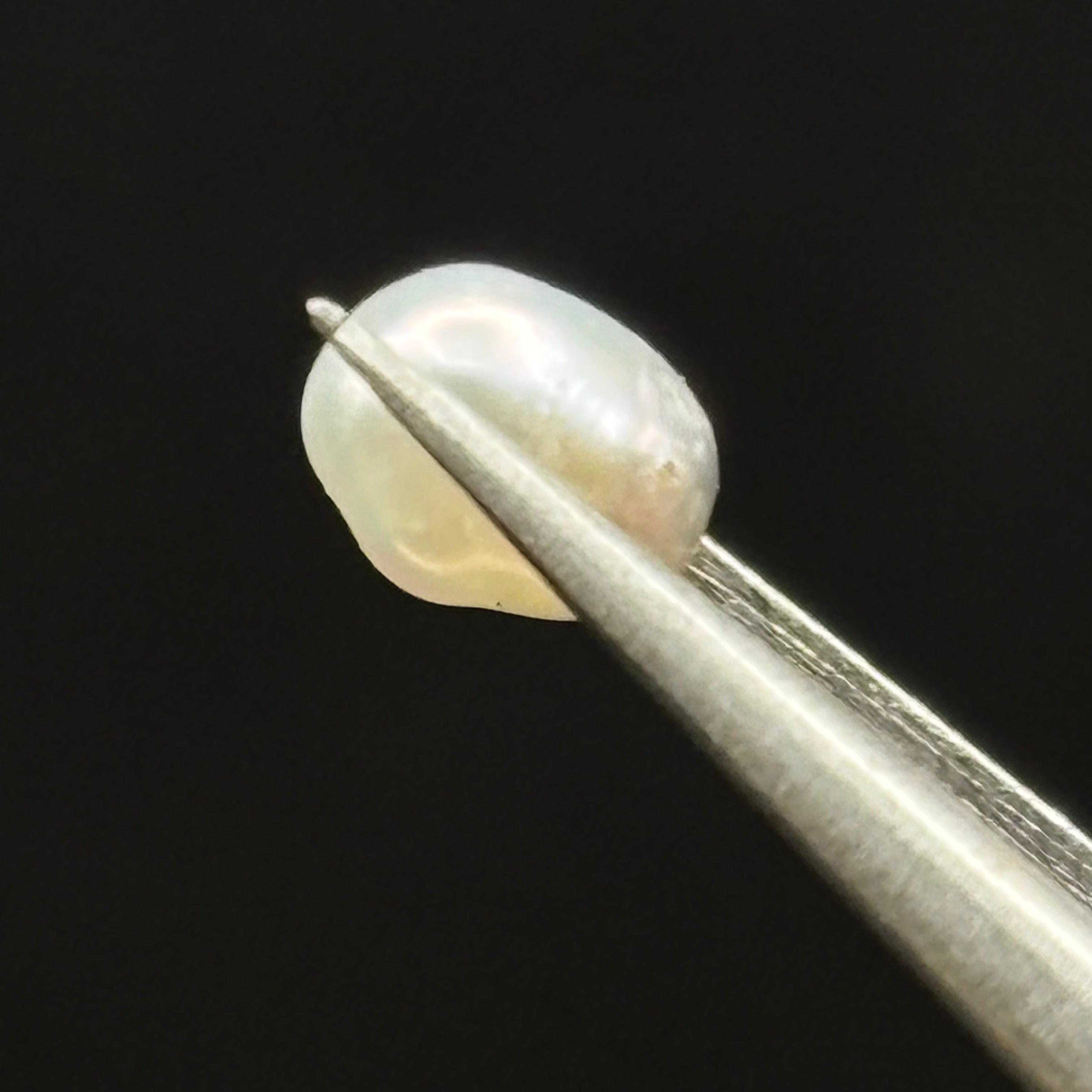 Wild Freshwater Pearl - 016