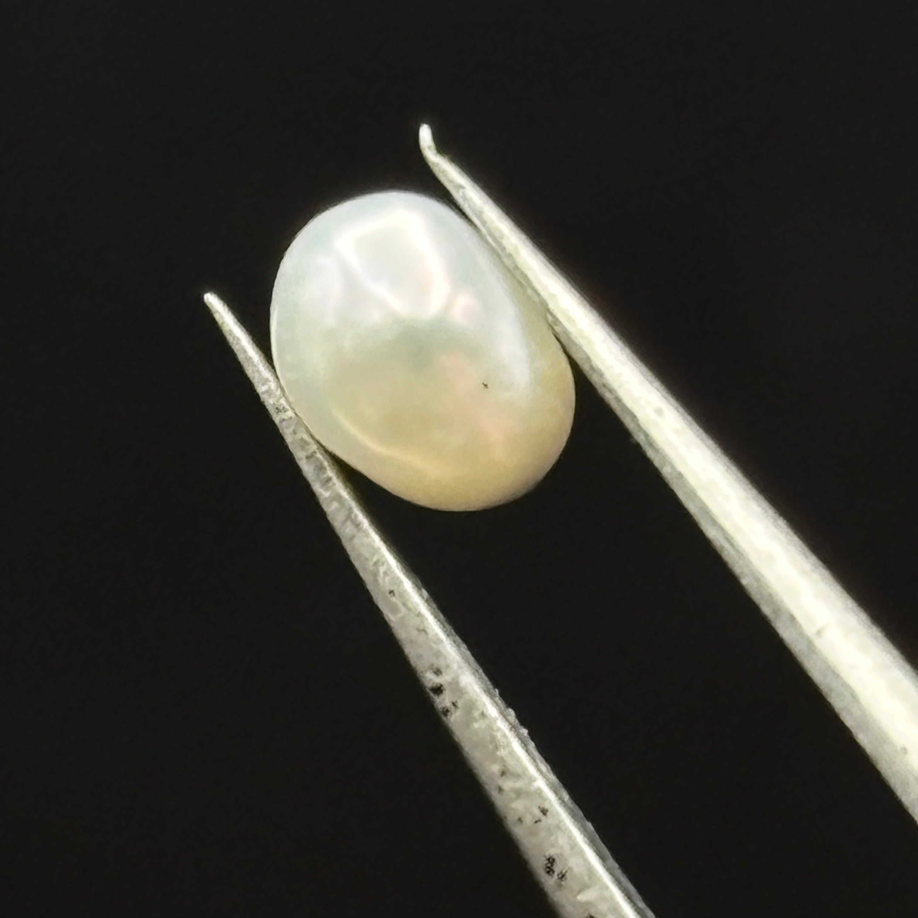 Wild Freshwater Pearl - 016