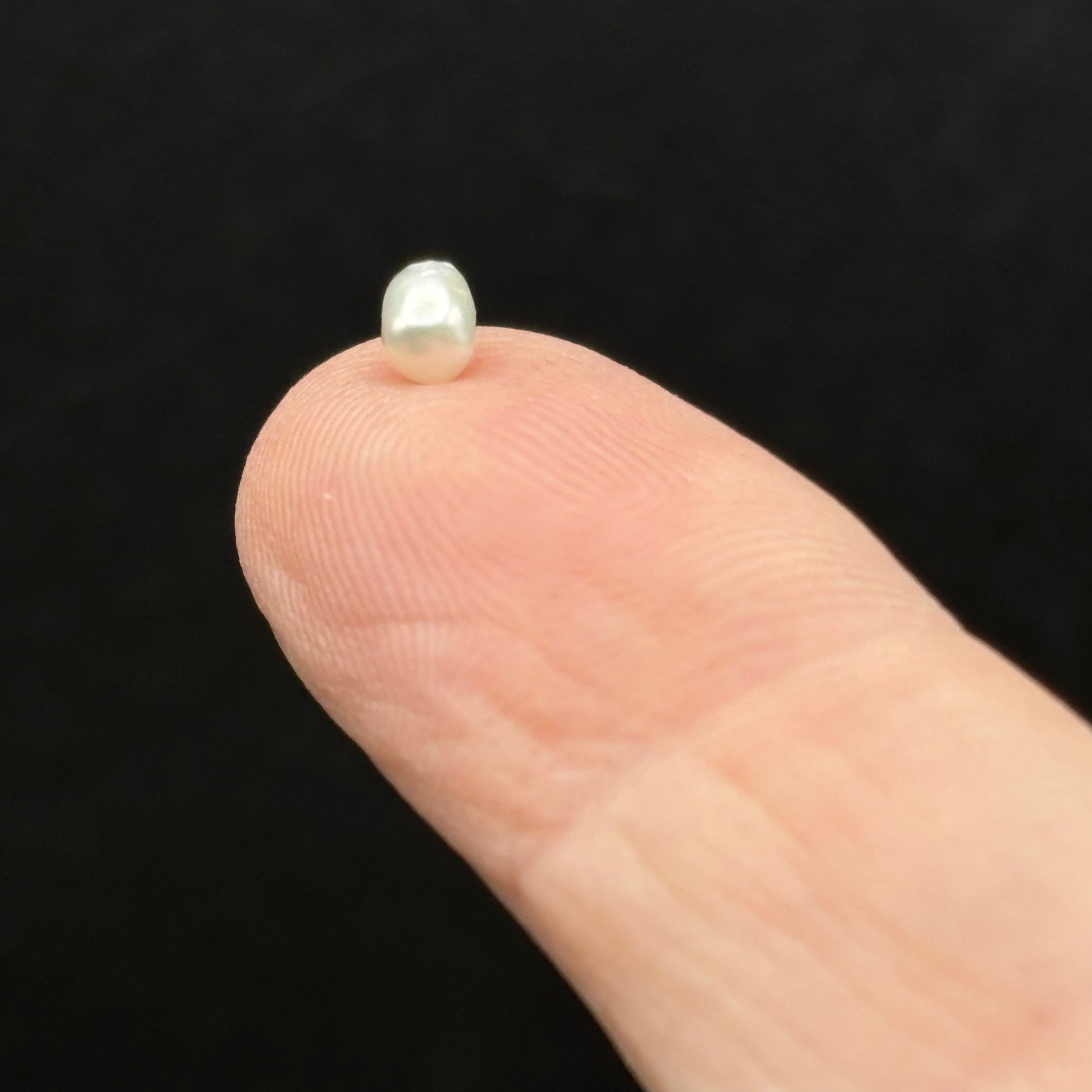 Wild Freshwater Pearl - 016