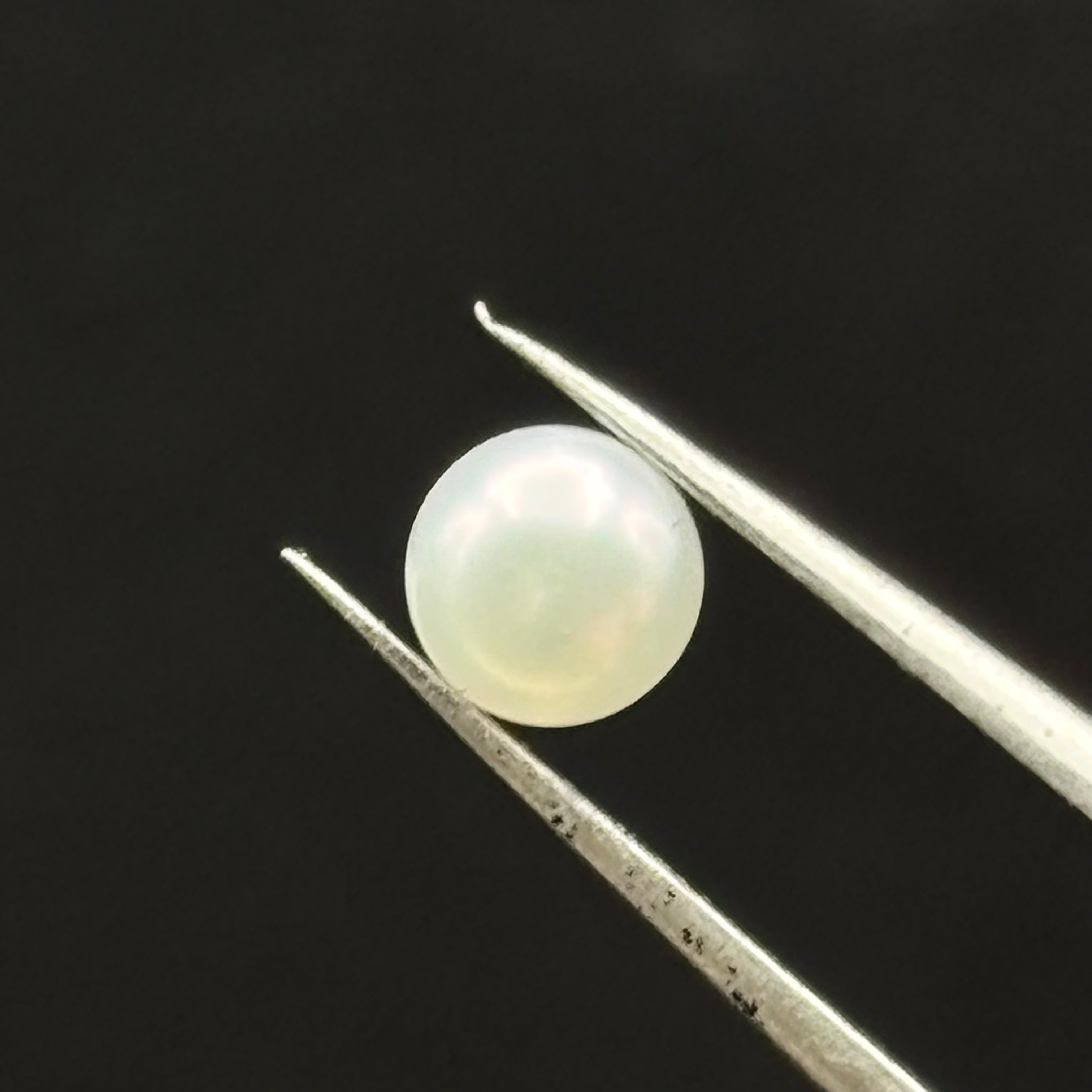 Wild Freshwater Pearl - 022