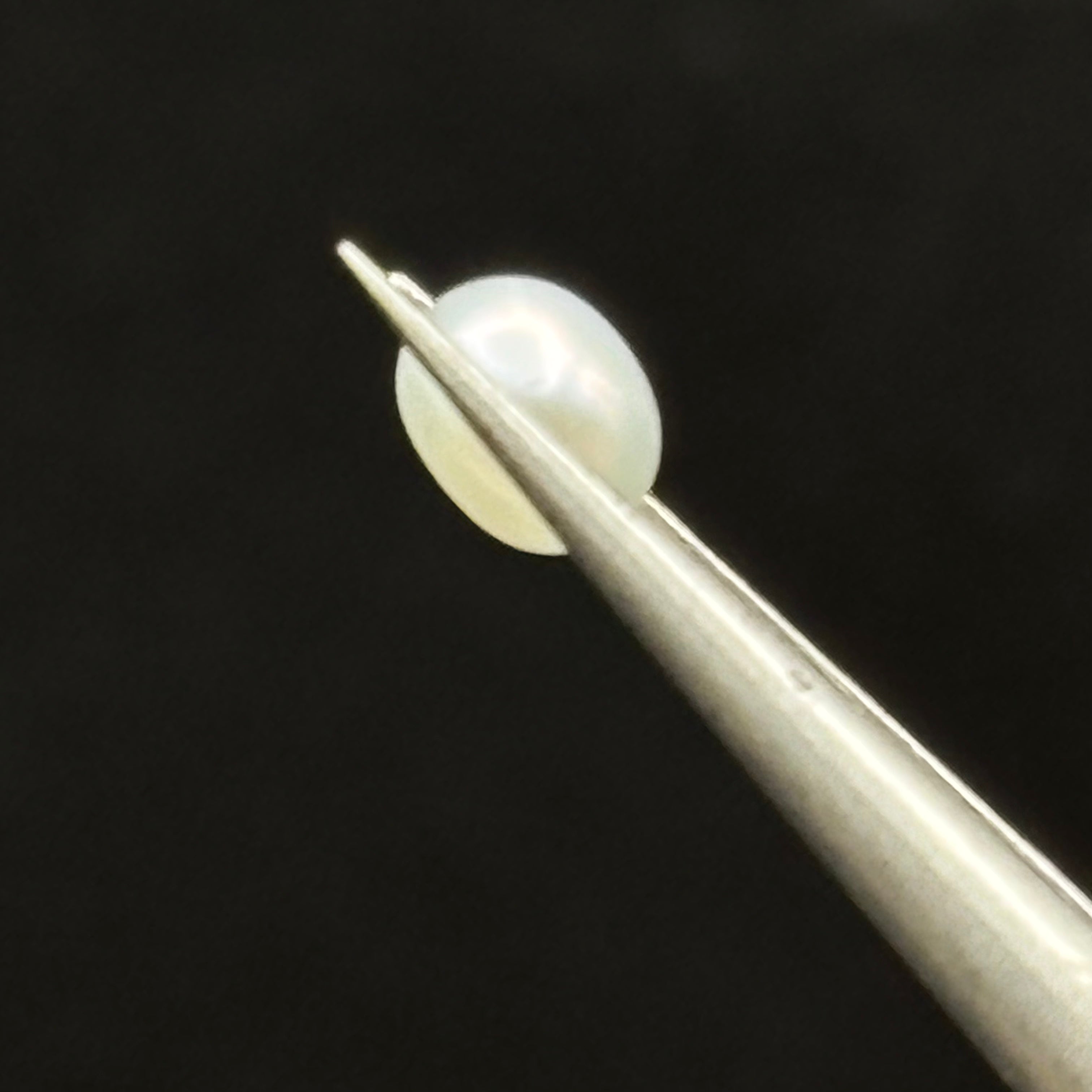 Wild Freshwater Pearl - 022