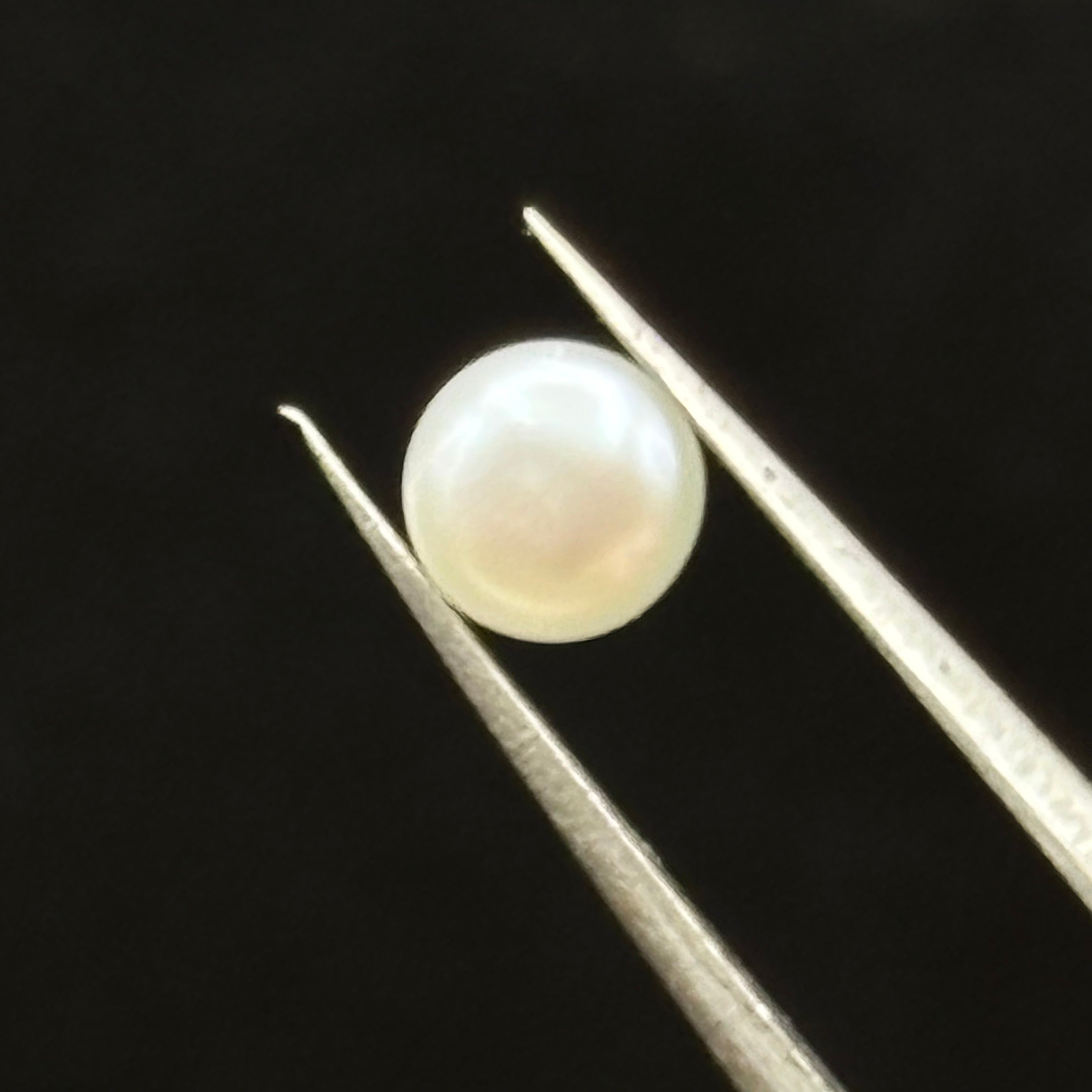 Wild Freshwater Pearl - 022