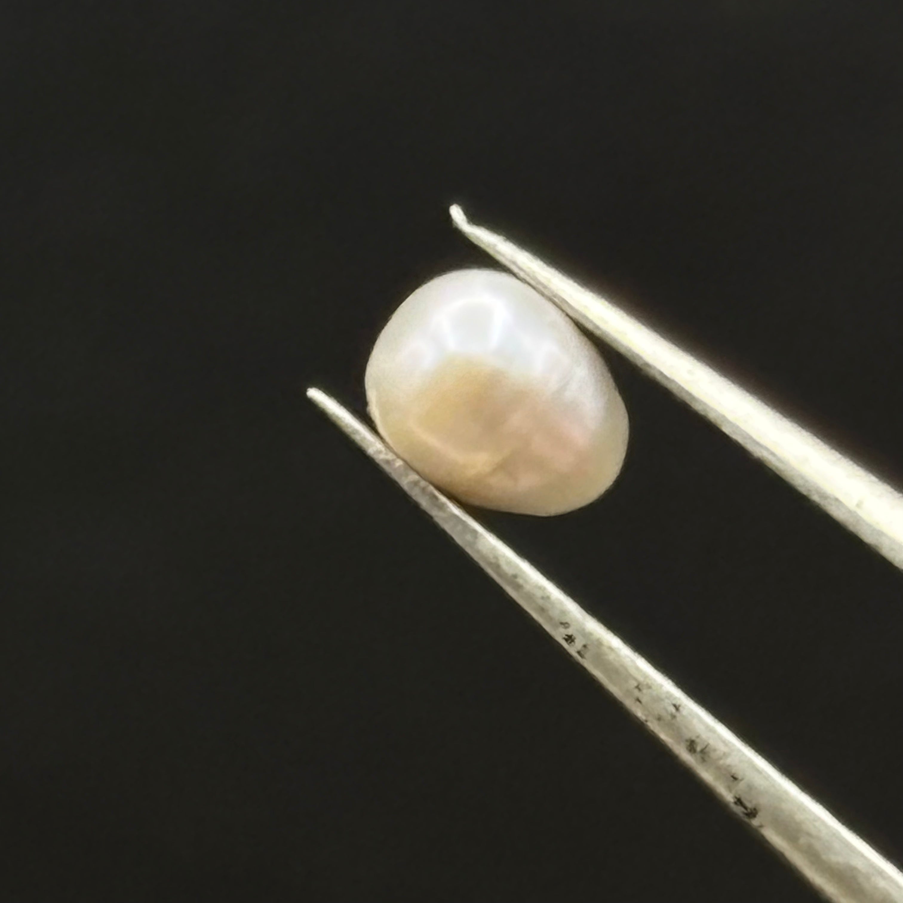 Wild Freshwater Pearl - 026