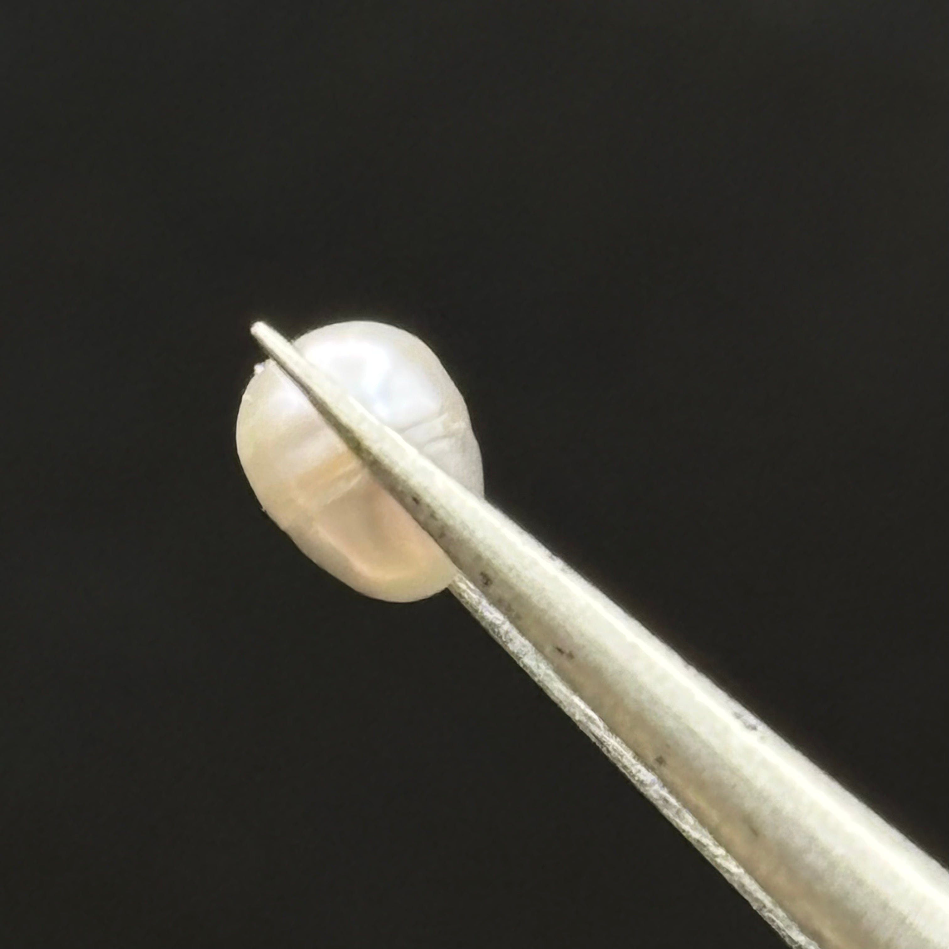 Wild Freshwater Pearl - 026