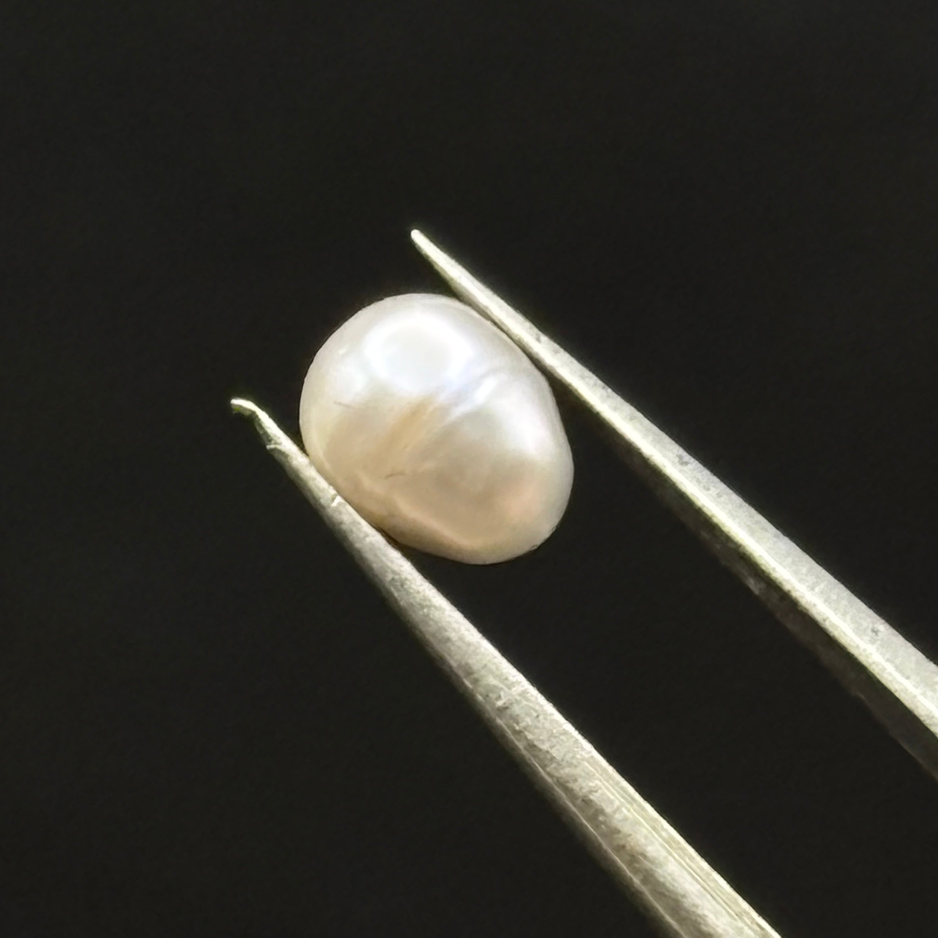 Wild Freshwater Pearl - 026