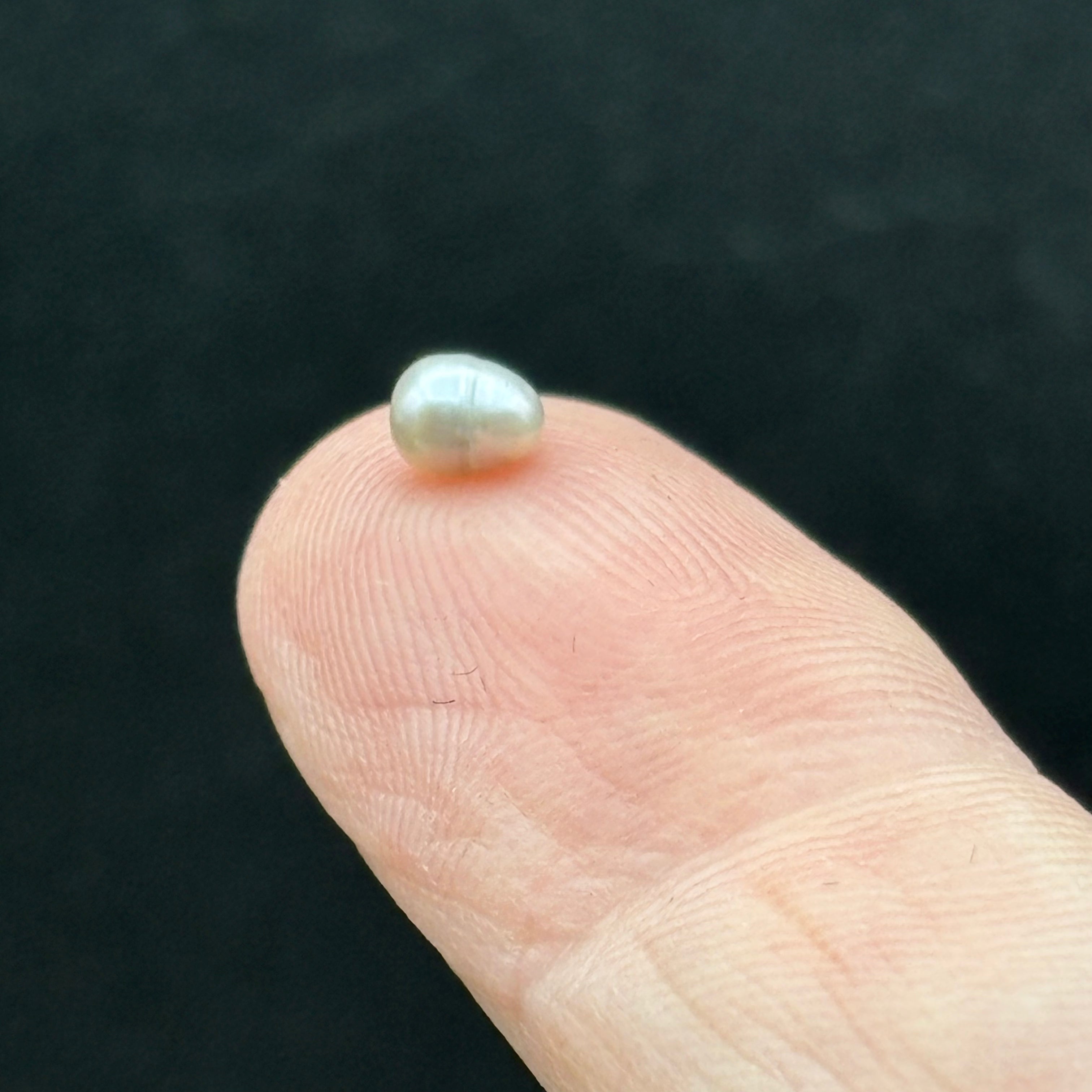 Wild Freshwater Pearl - 026