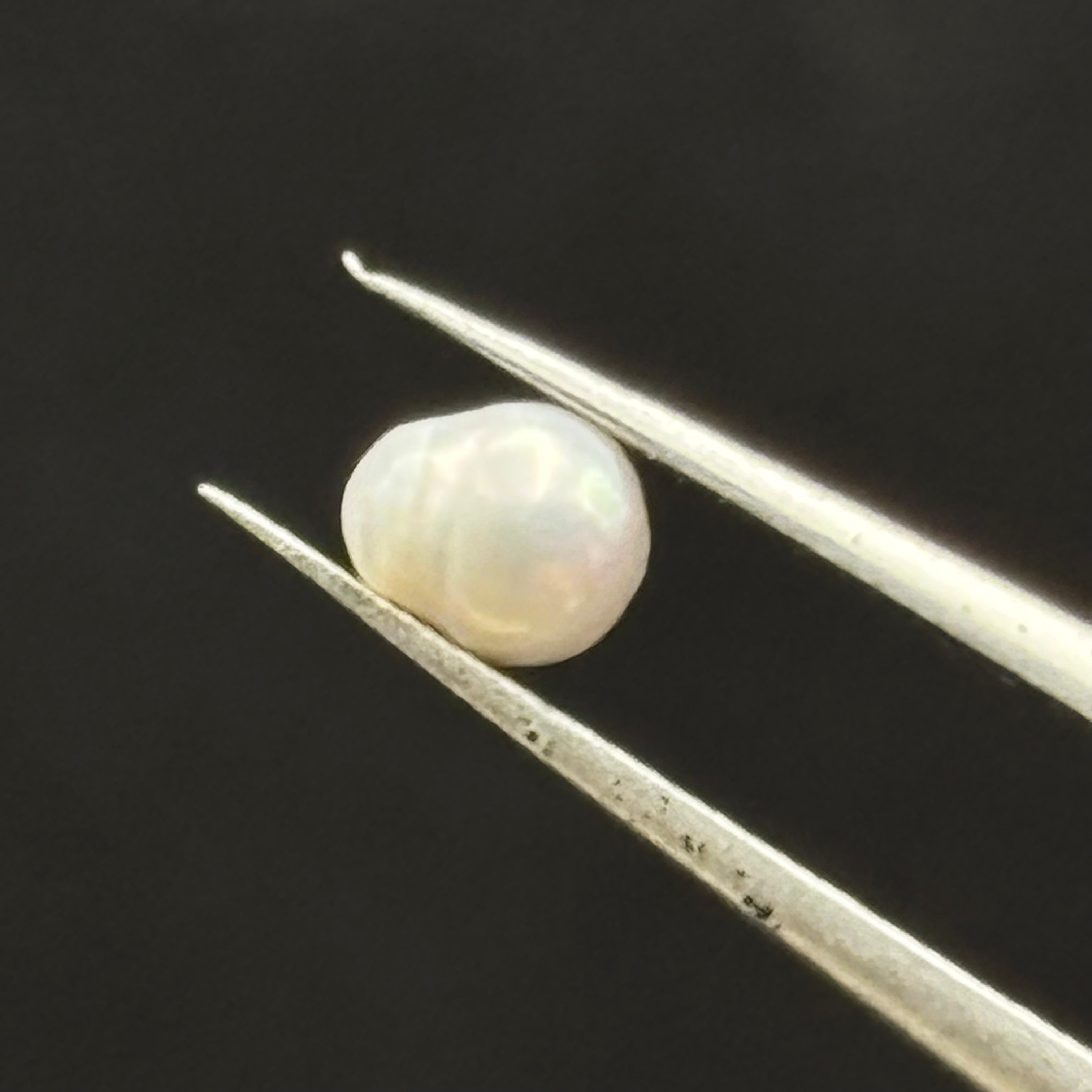 Wild Freshwater Pearl - 029