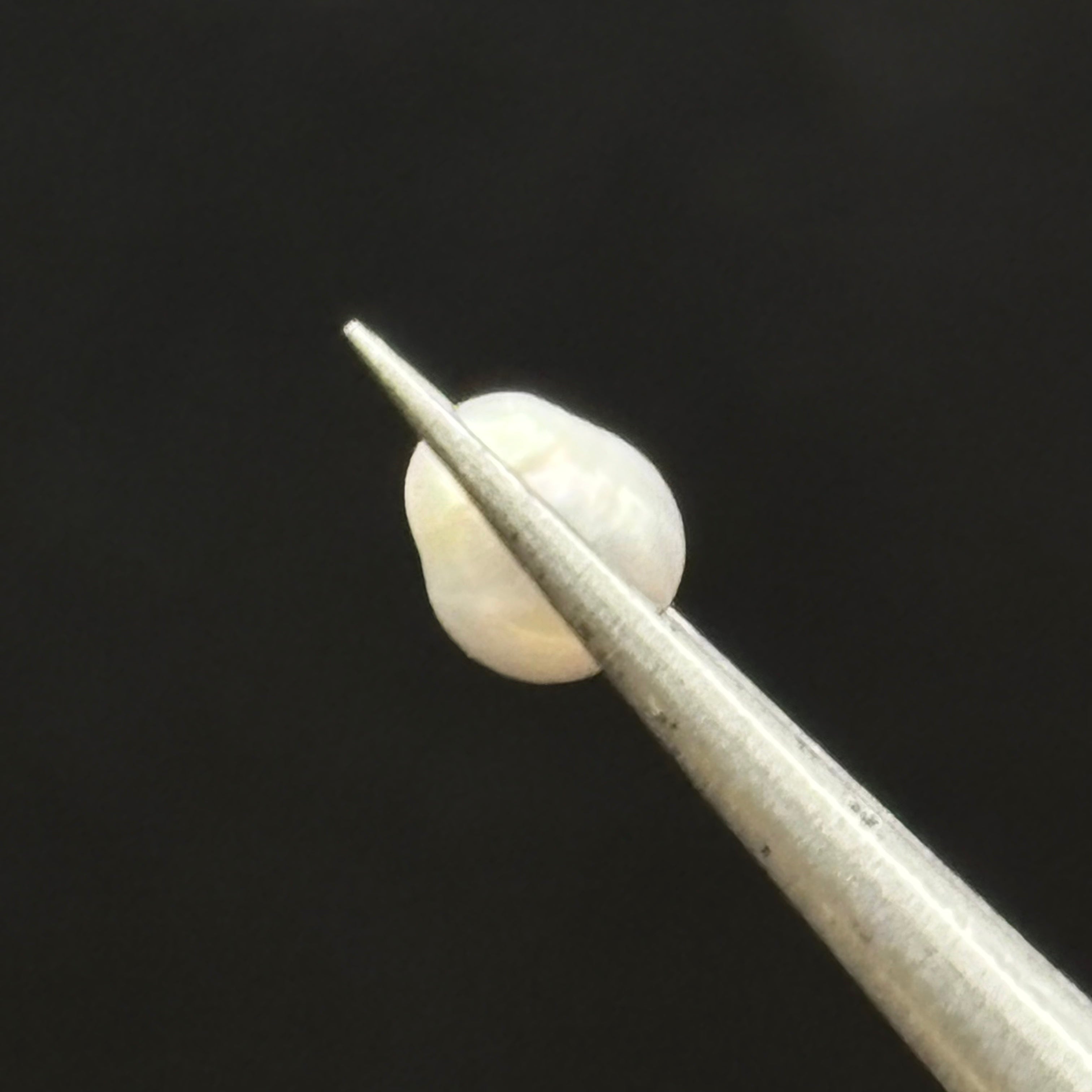 Wild Freshwater Pearl - 029