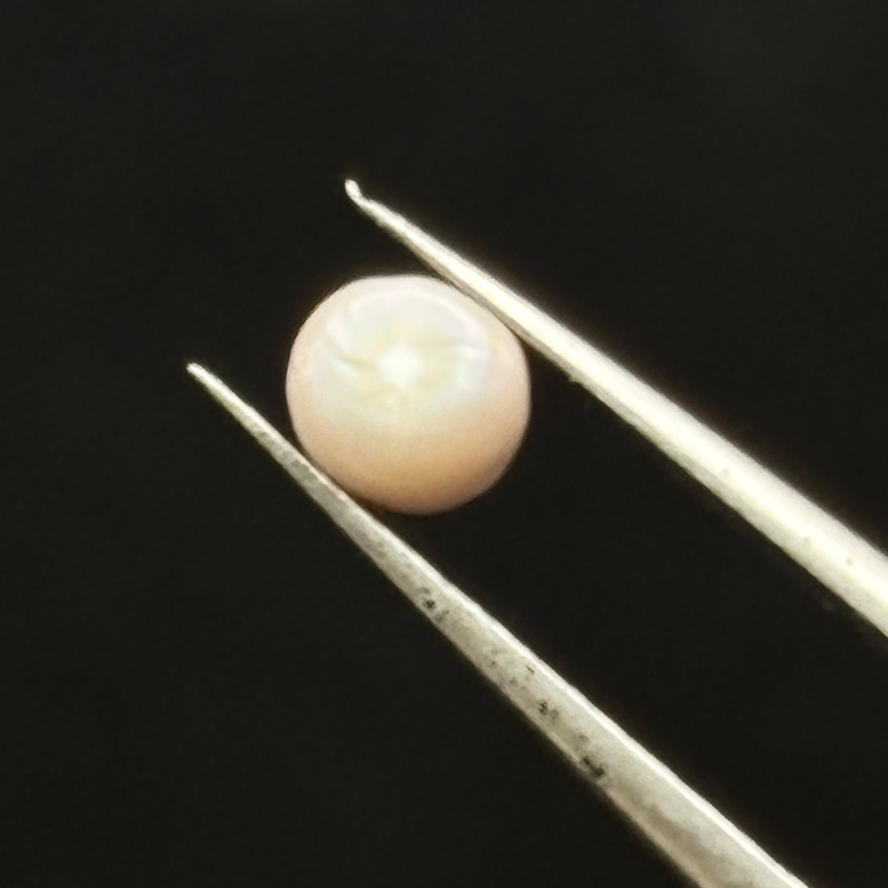 Wild Freshwater Pearl - 030