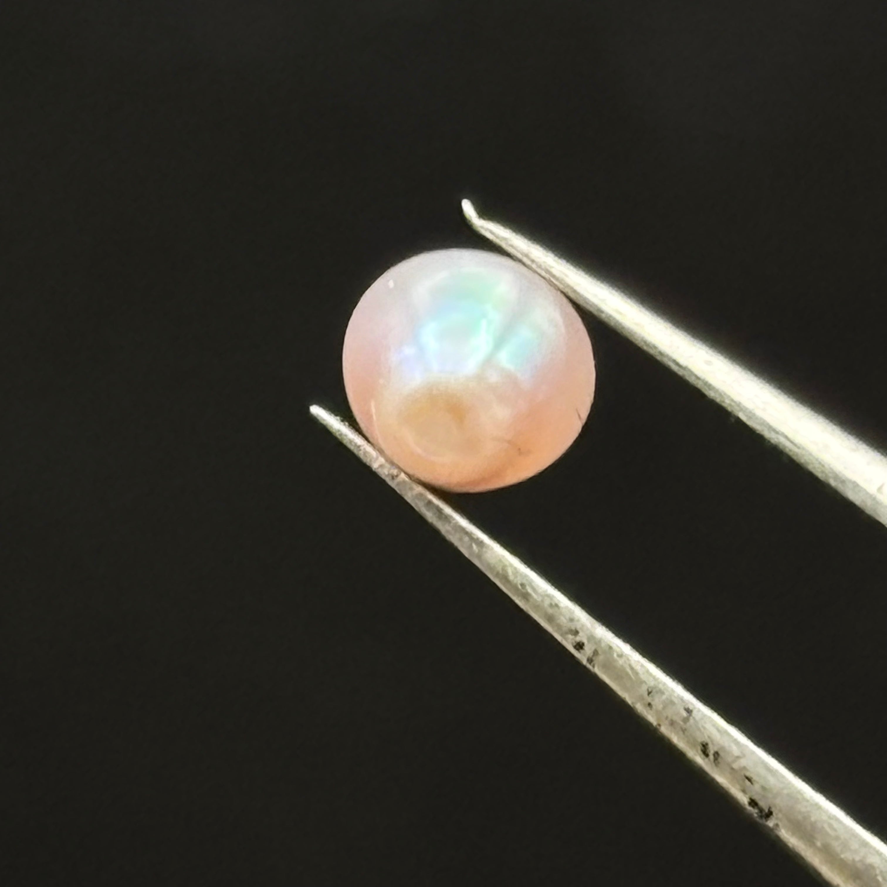 Wild Freshwater Pearl - 031