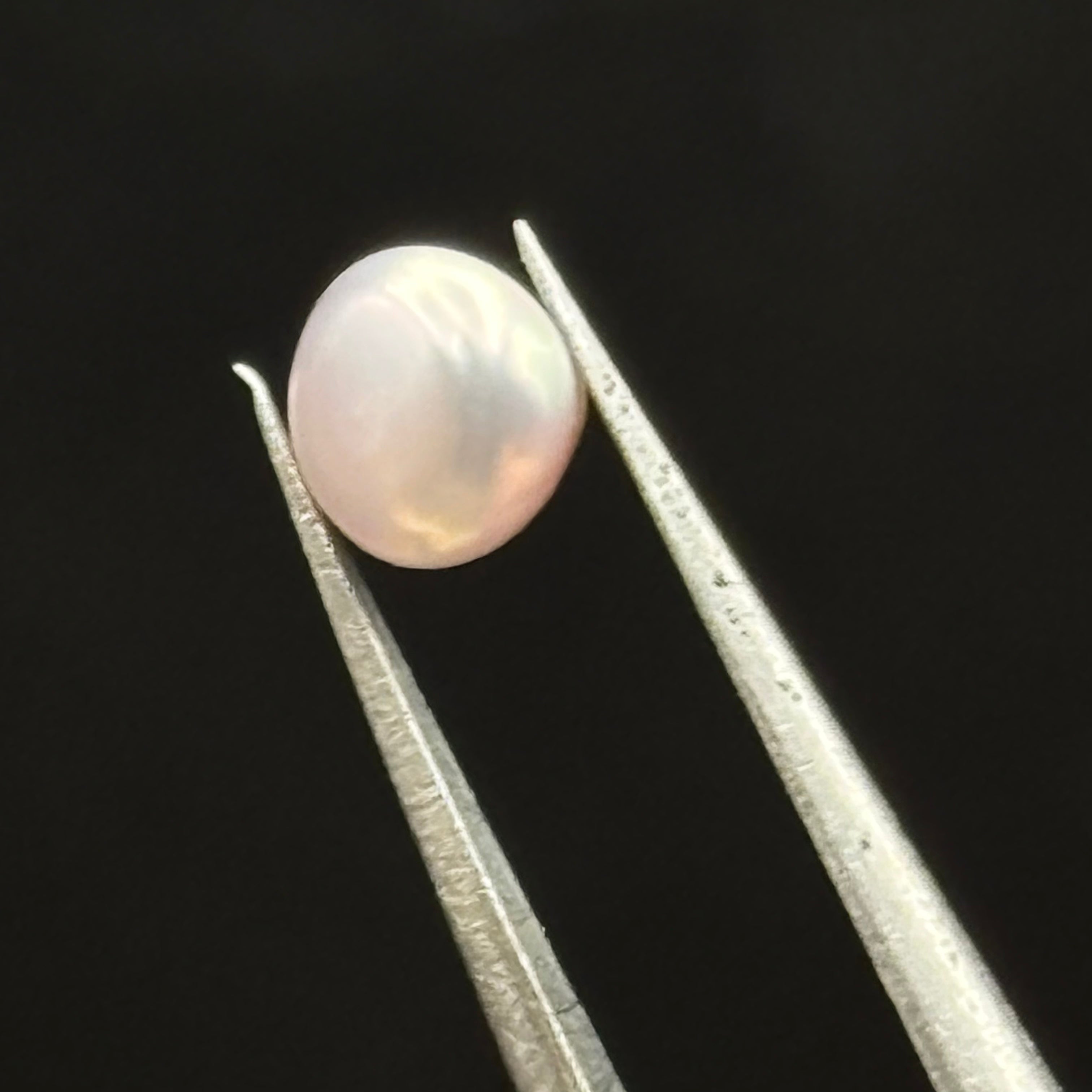 Wild Freshwater Pearl - 031