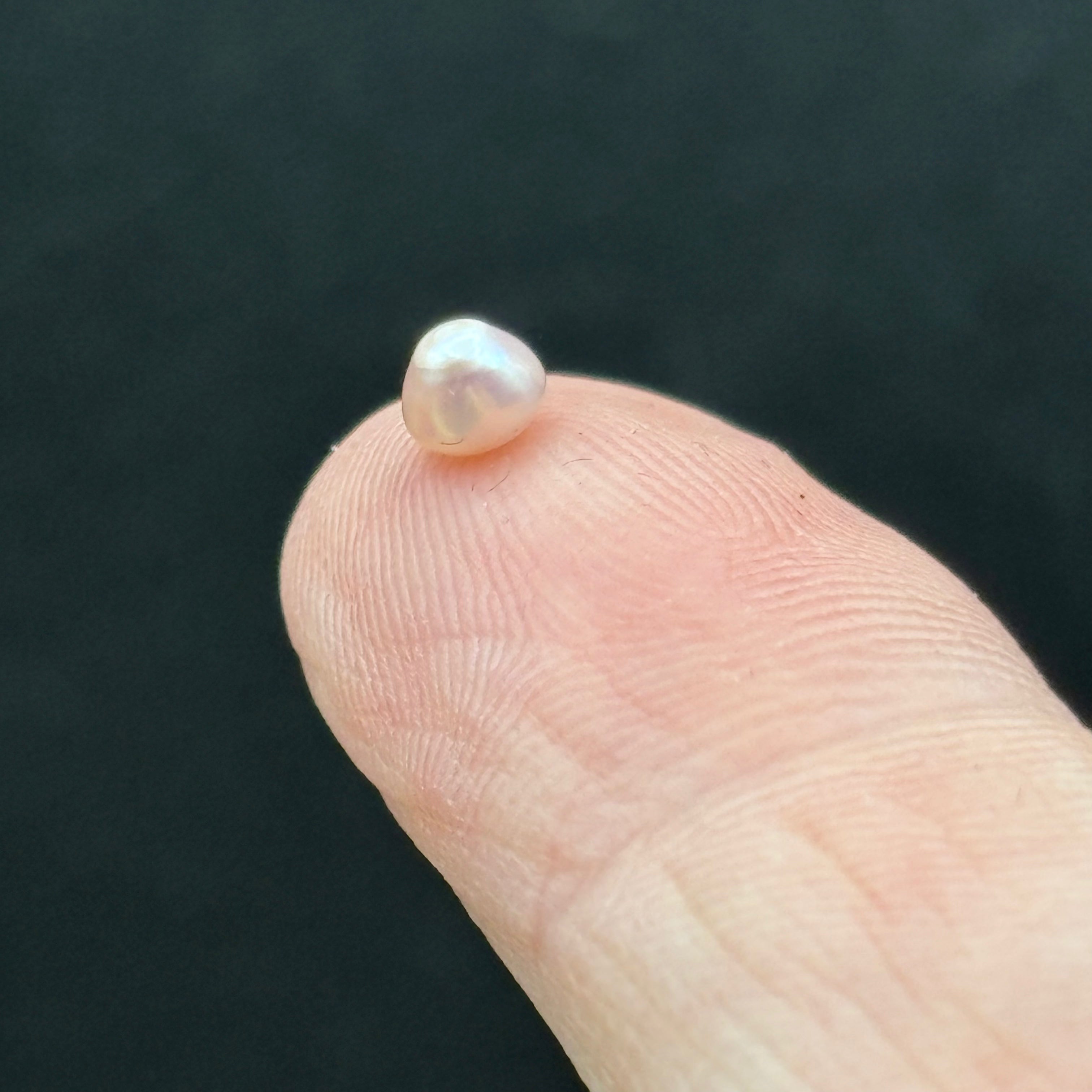 Wild Freshwater Pearl - 031