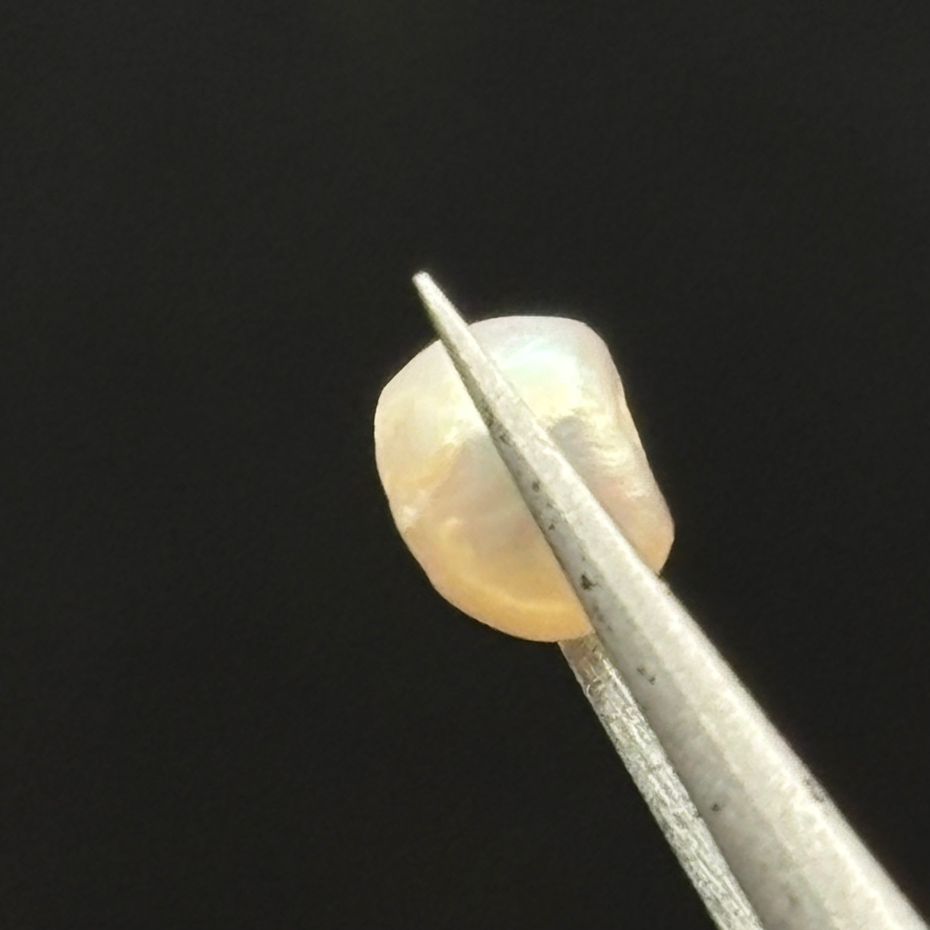 Wild Freshwater Pearl - 033