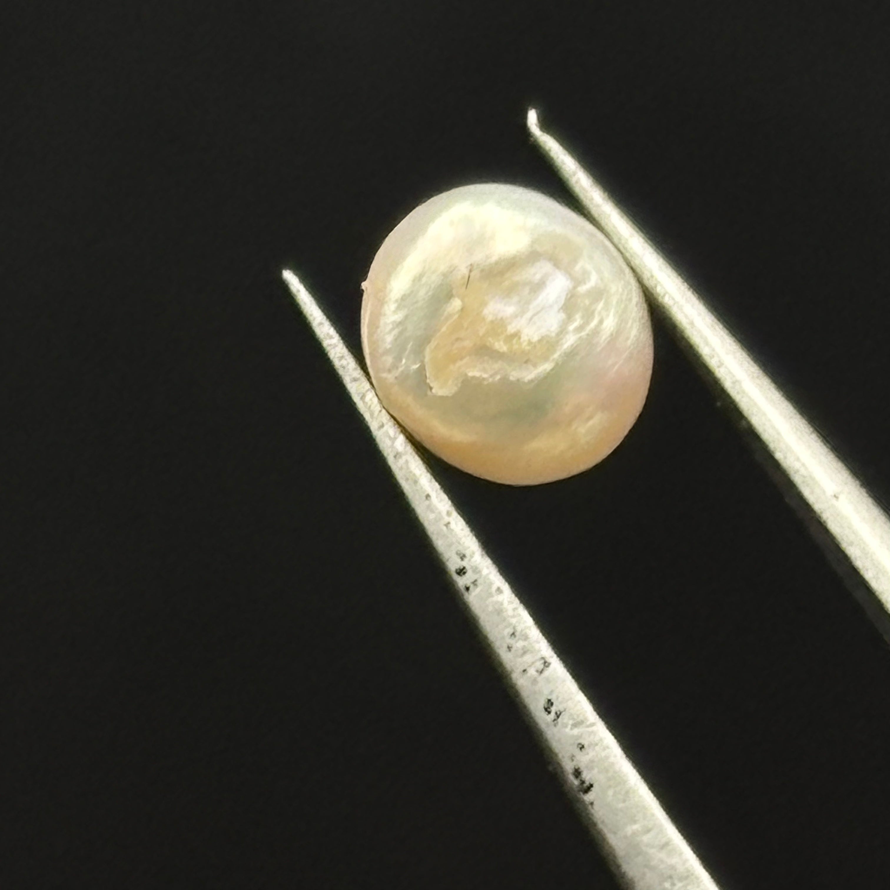 Wild Freshwater Pearl - 033