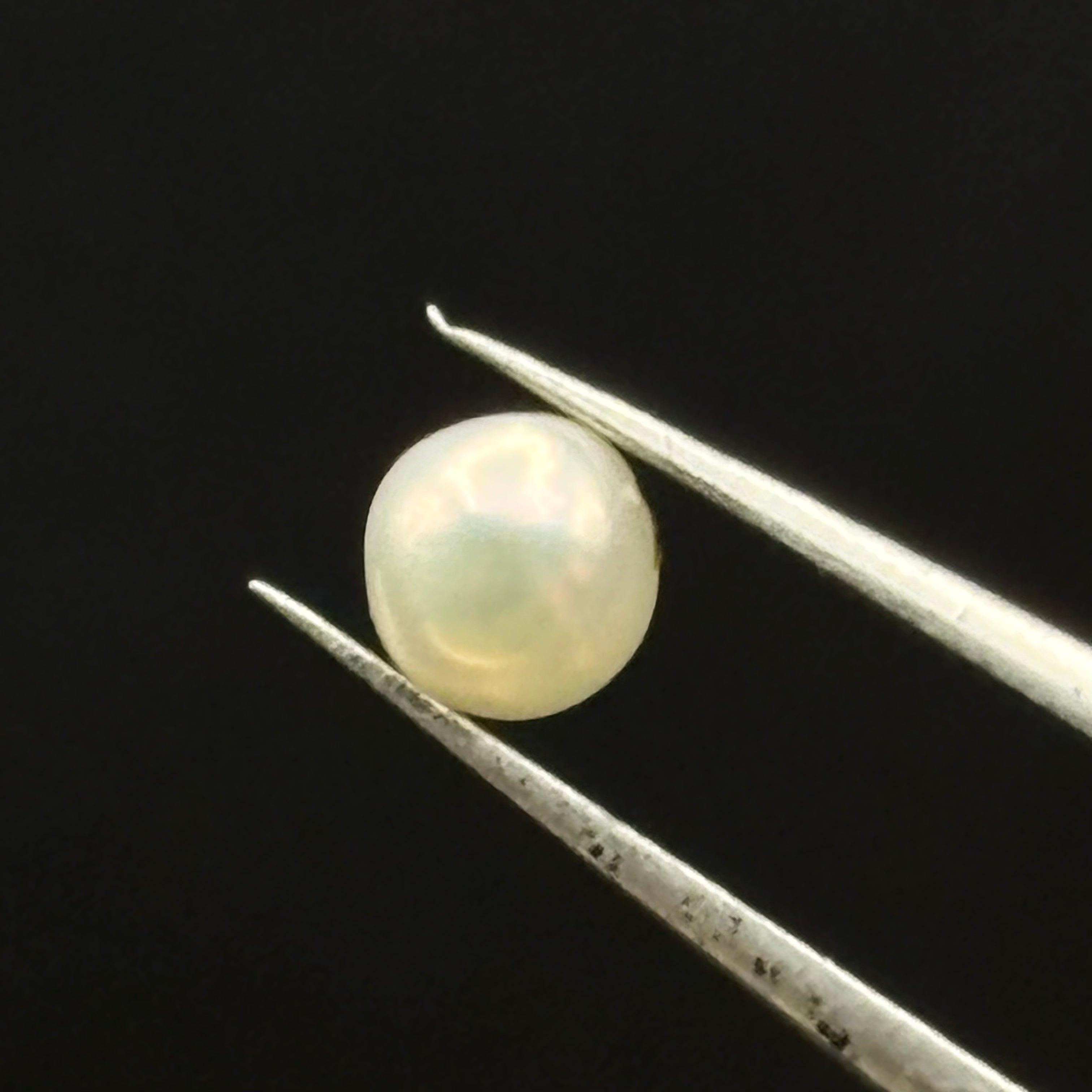 Wild Freshwater Pearl - 035