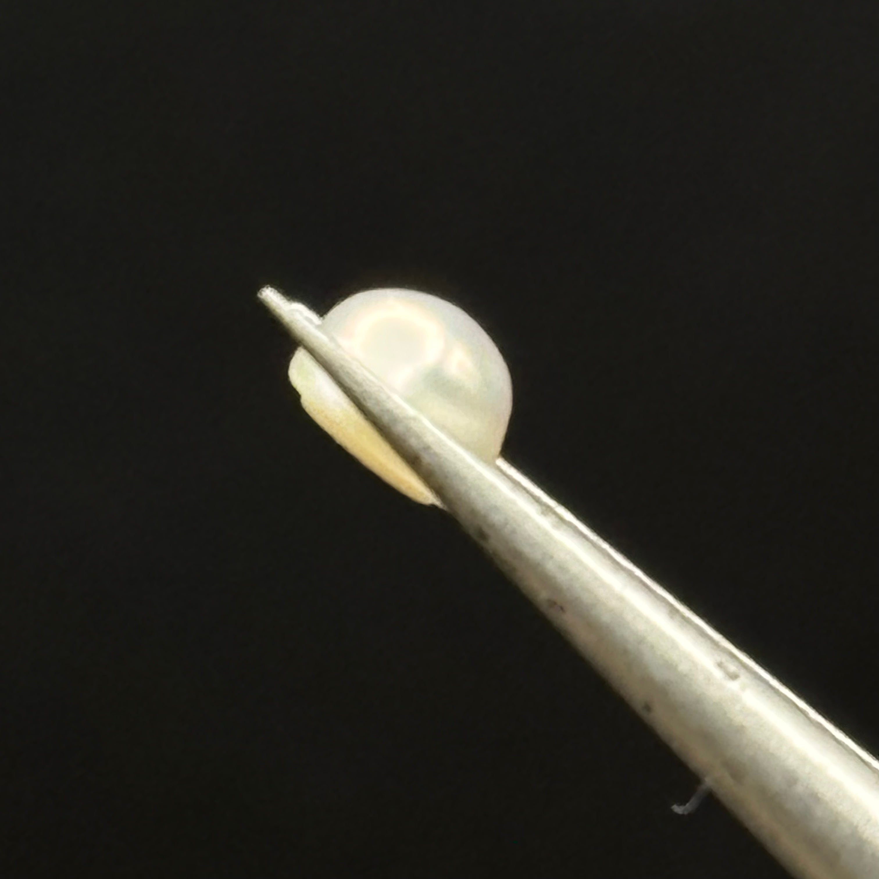 Wild Freshwater Pearl - 035