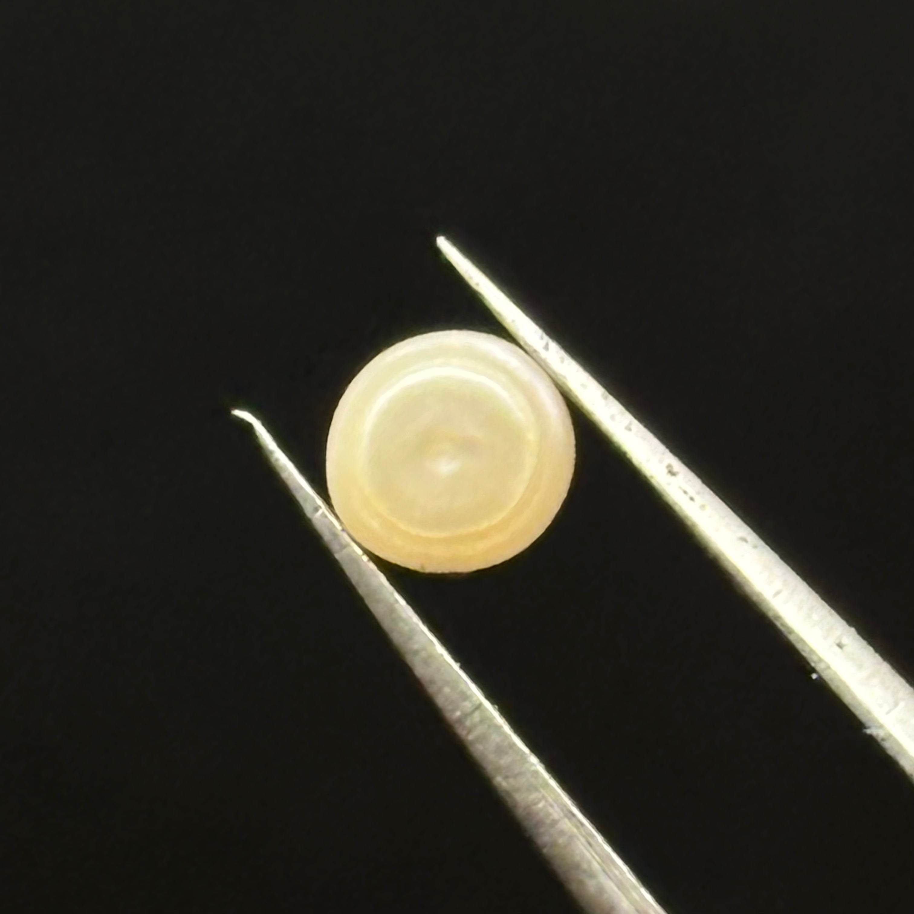Wild Freshwater Pearl - 035