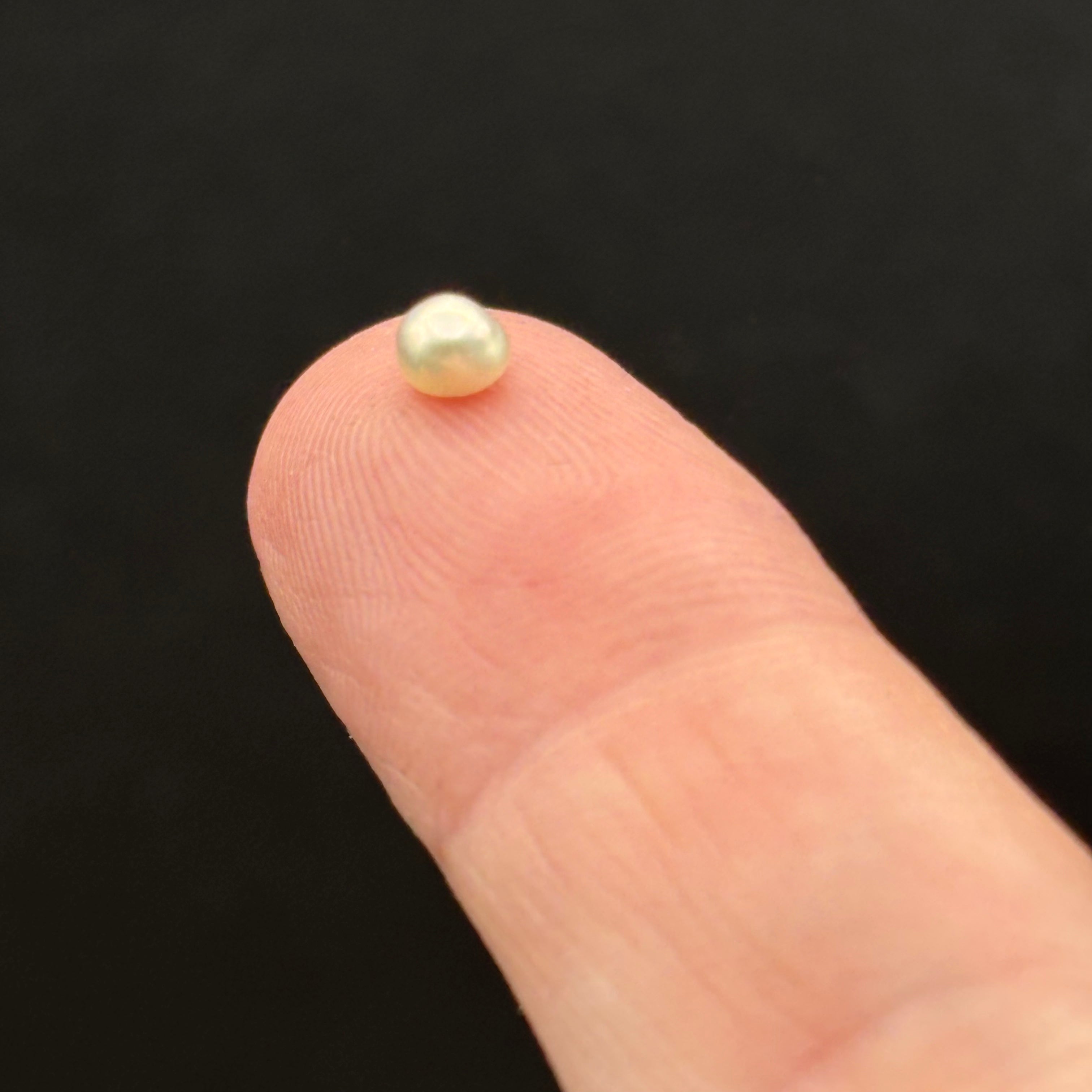 Wild Freshwater Pearl - 035