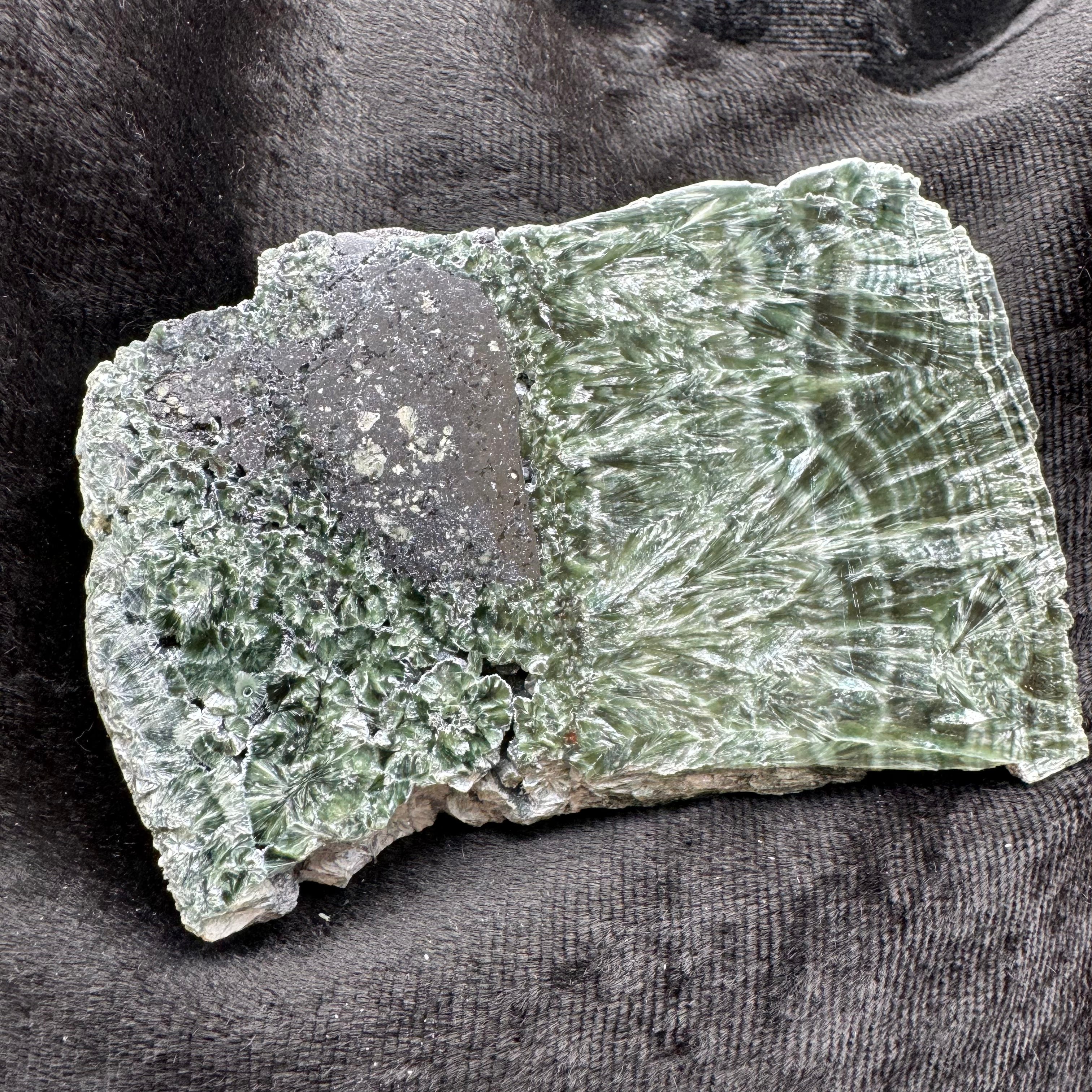 Seraphinite - 013
