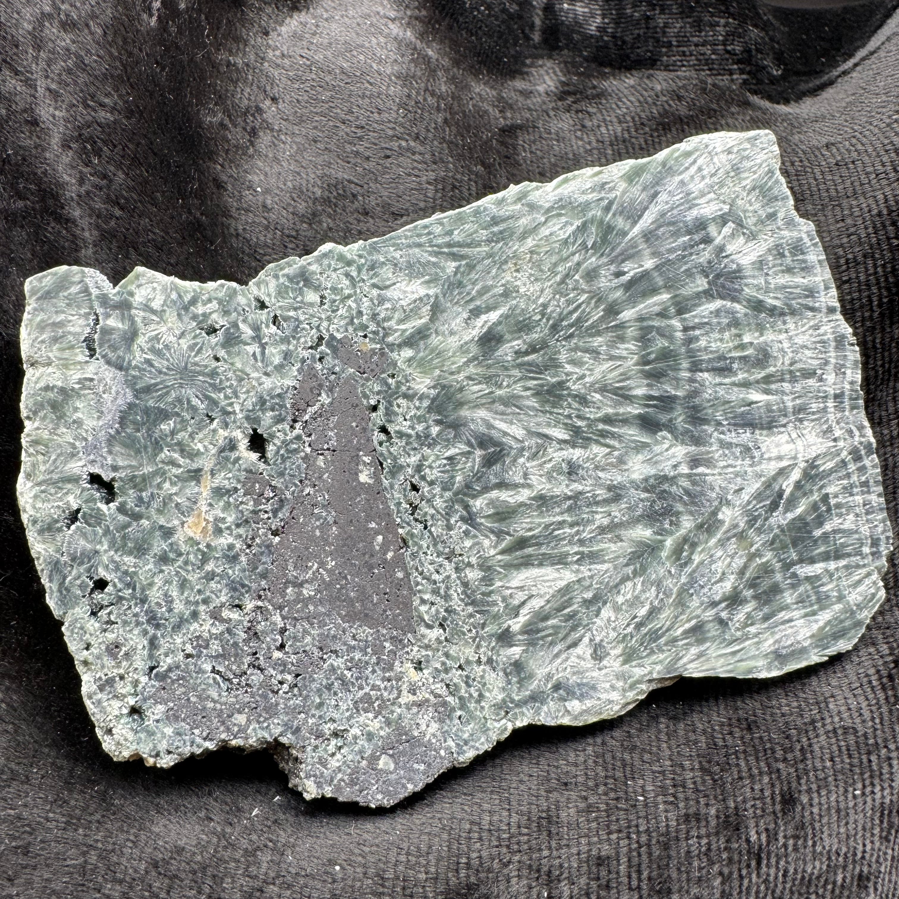 Seraphinite - 013