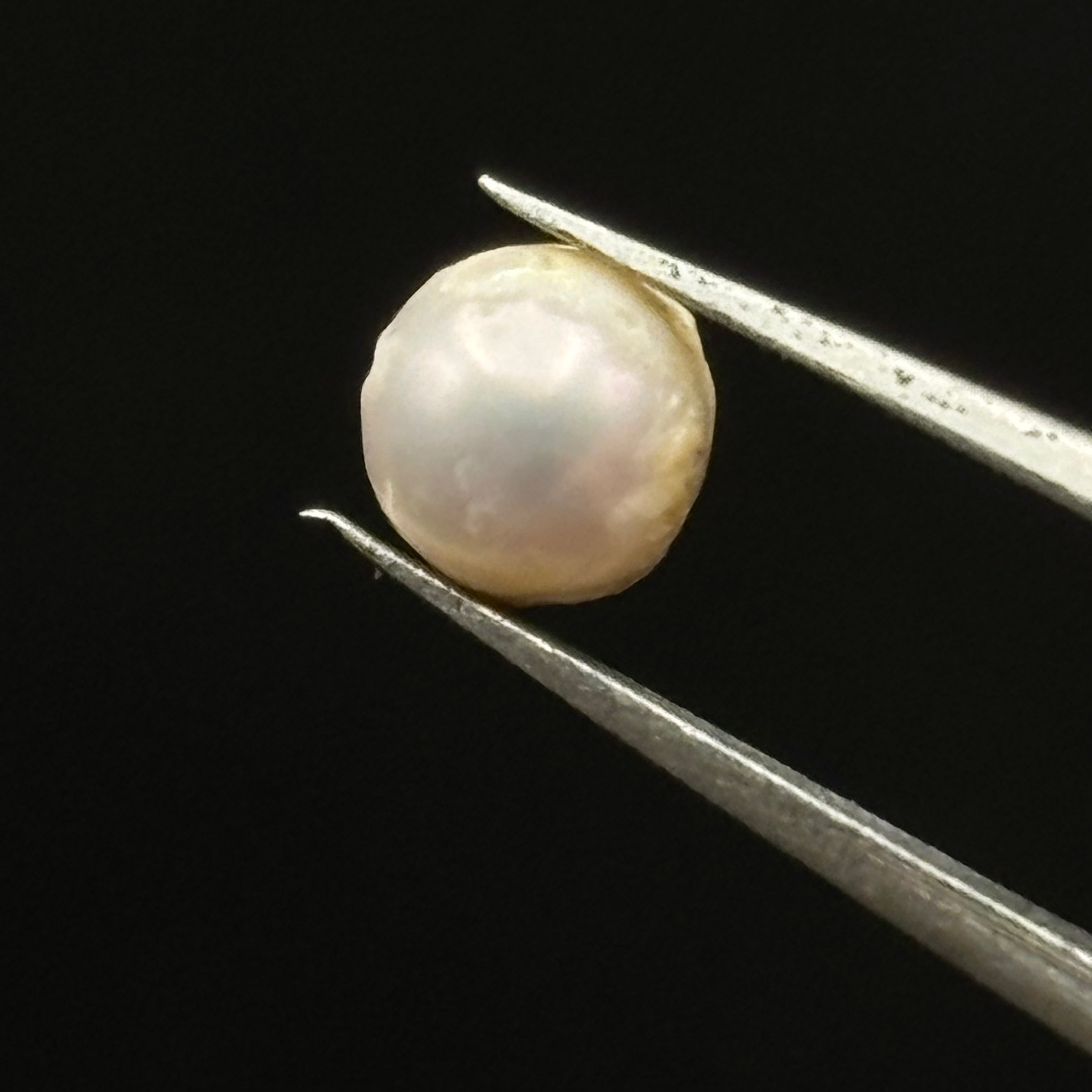 Wild Freshwater Pearl - 050