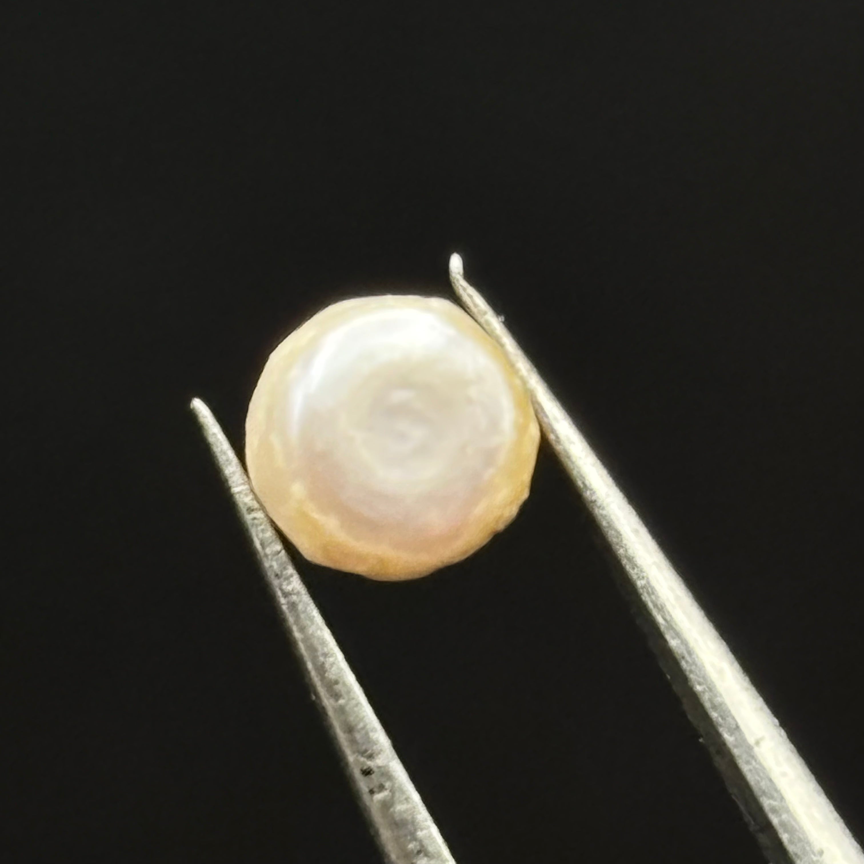 Wild Freshwater Pearl - 050