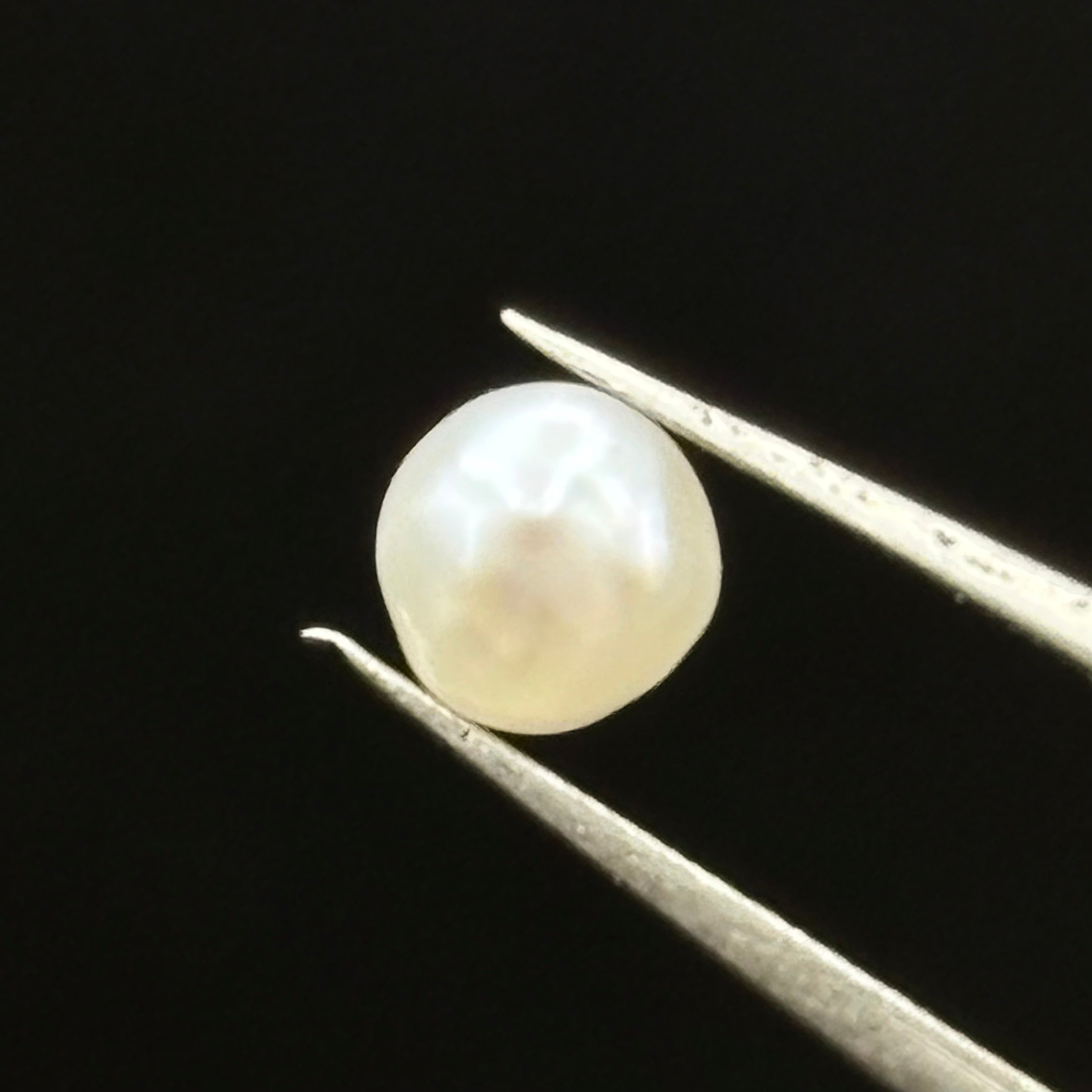 Wild Freshwater Pearl - 053